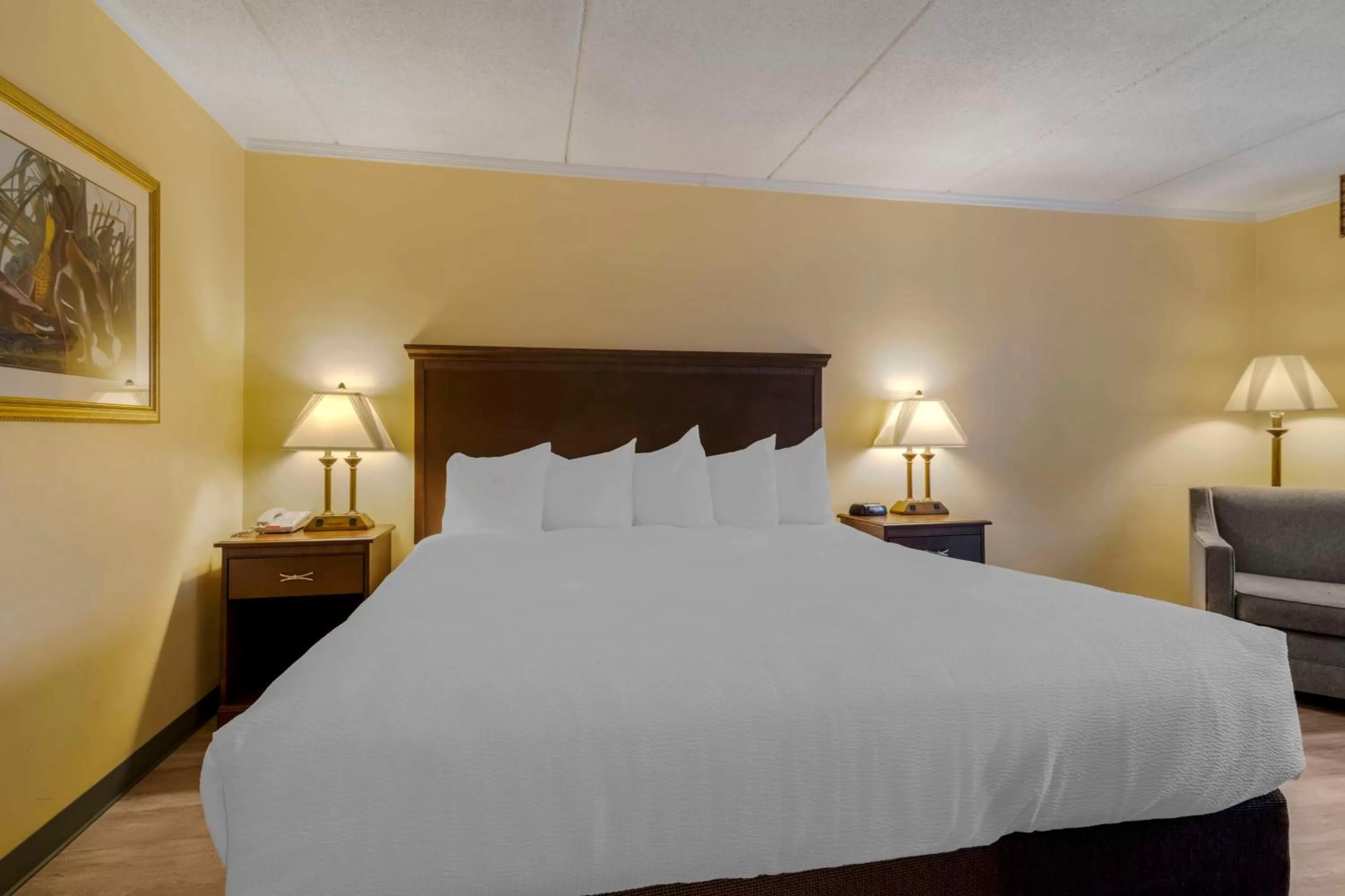 Room with Roll in Shower- 1 Double Bed in Best Western of Lake George