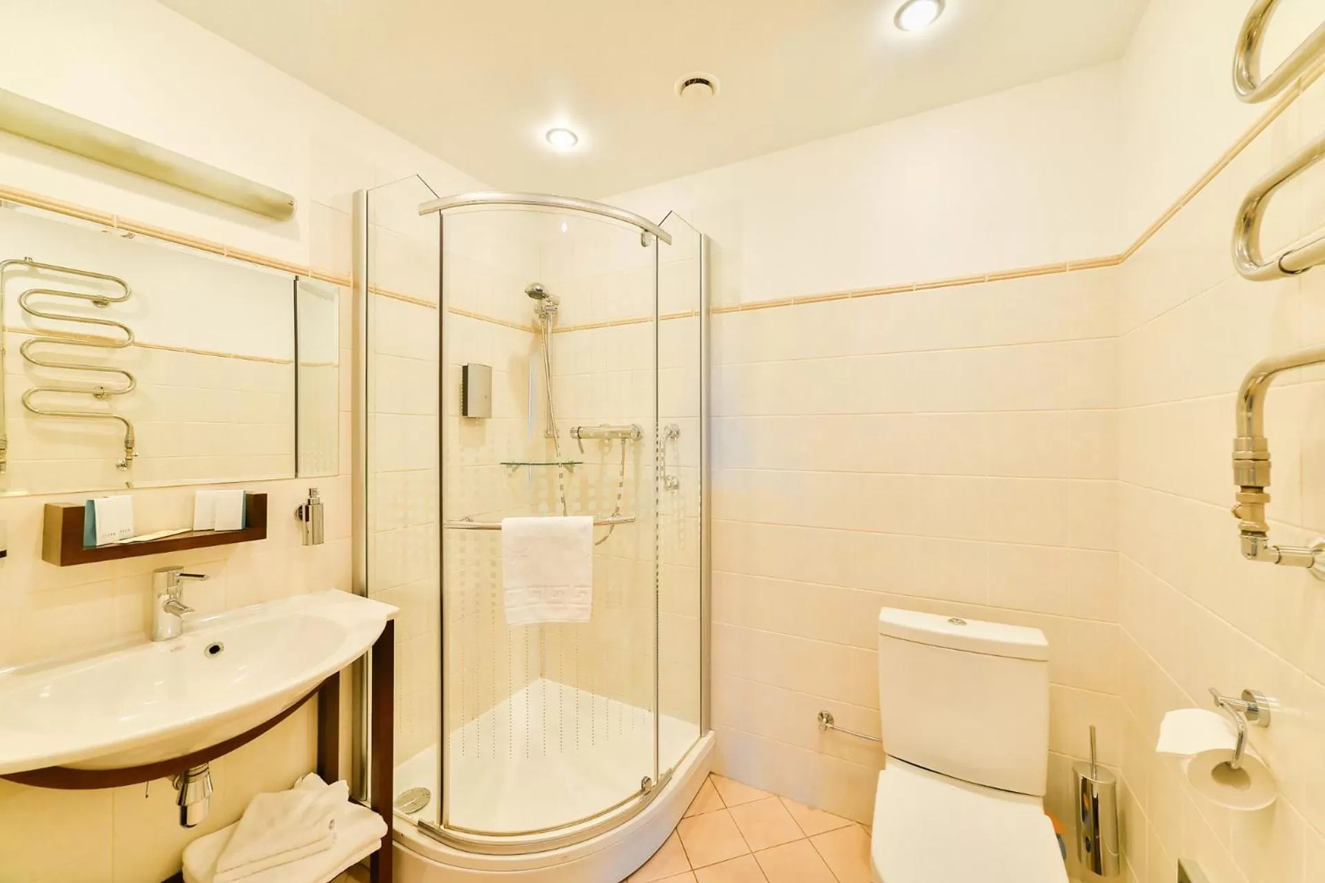 Other in Superior Hotel Vantis Riverside