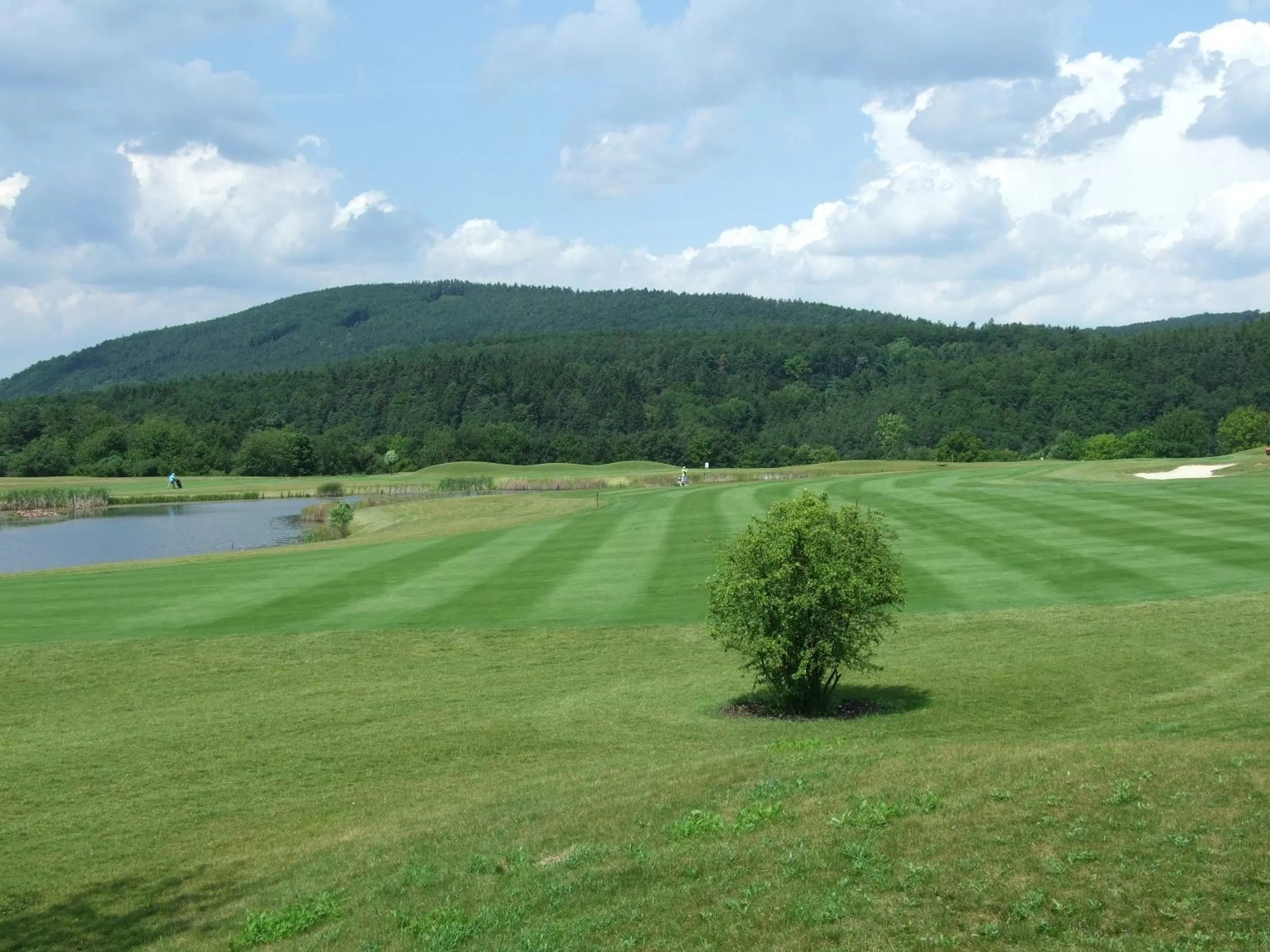 Golfcourse in Hotel Beroun Golf Club