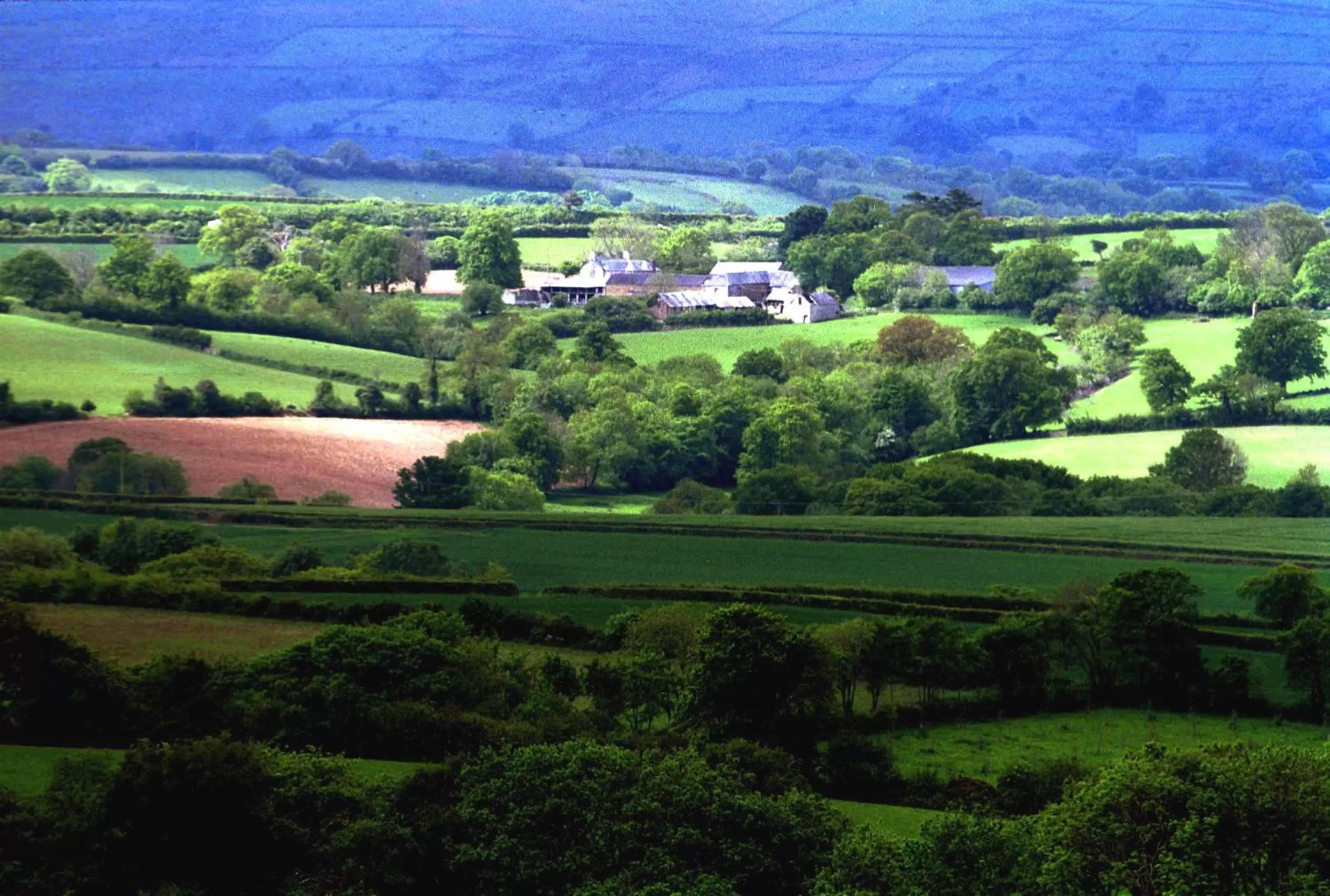 Bird's eye view, Neighborhood in Lovaton Farmhouse