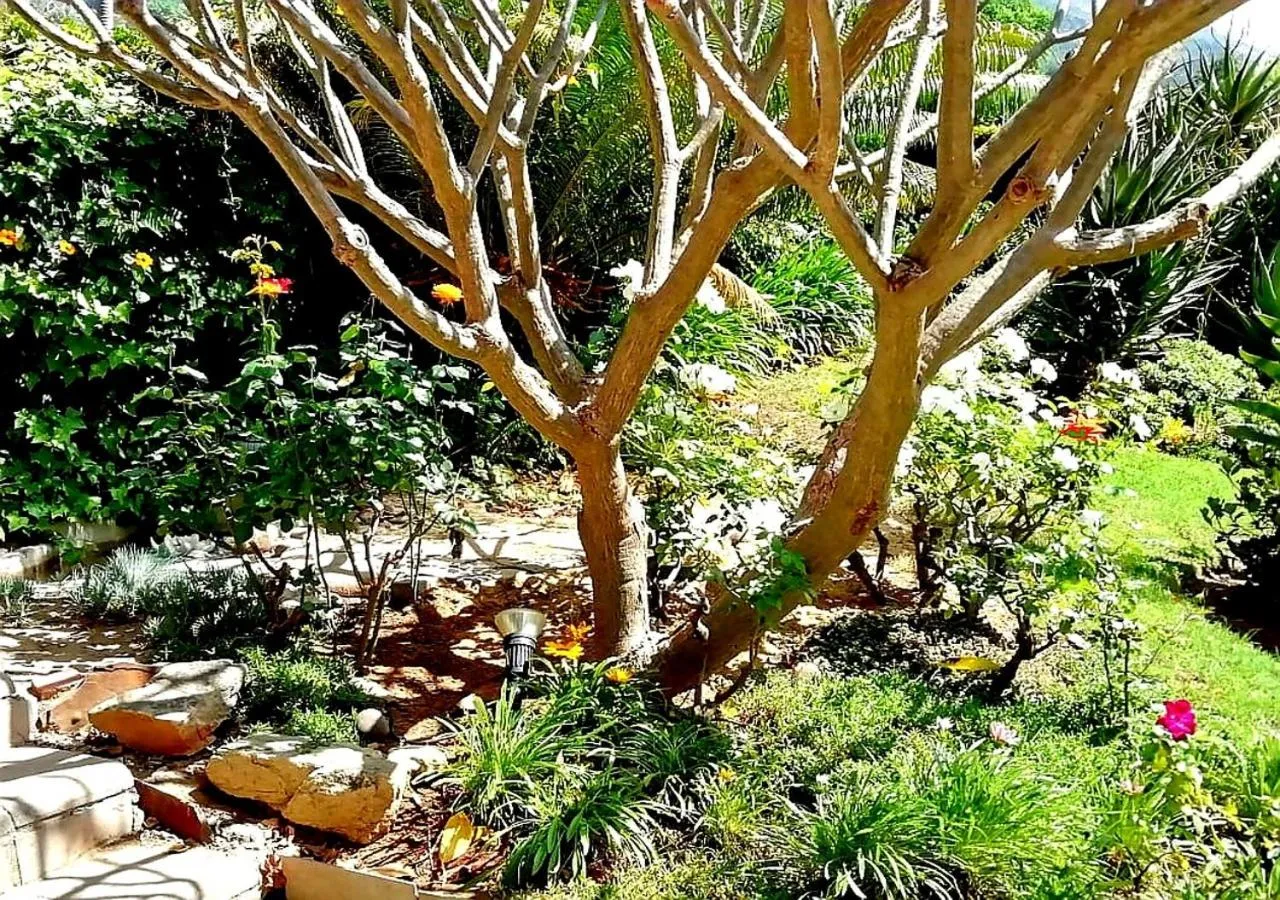 De Wingerd Wijnland Lodge