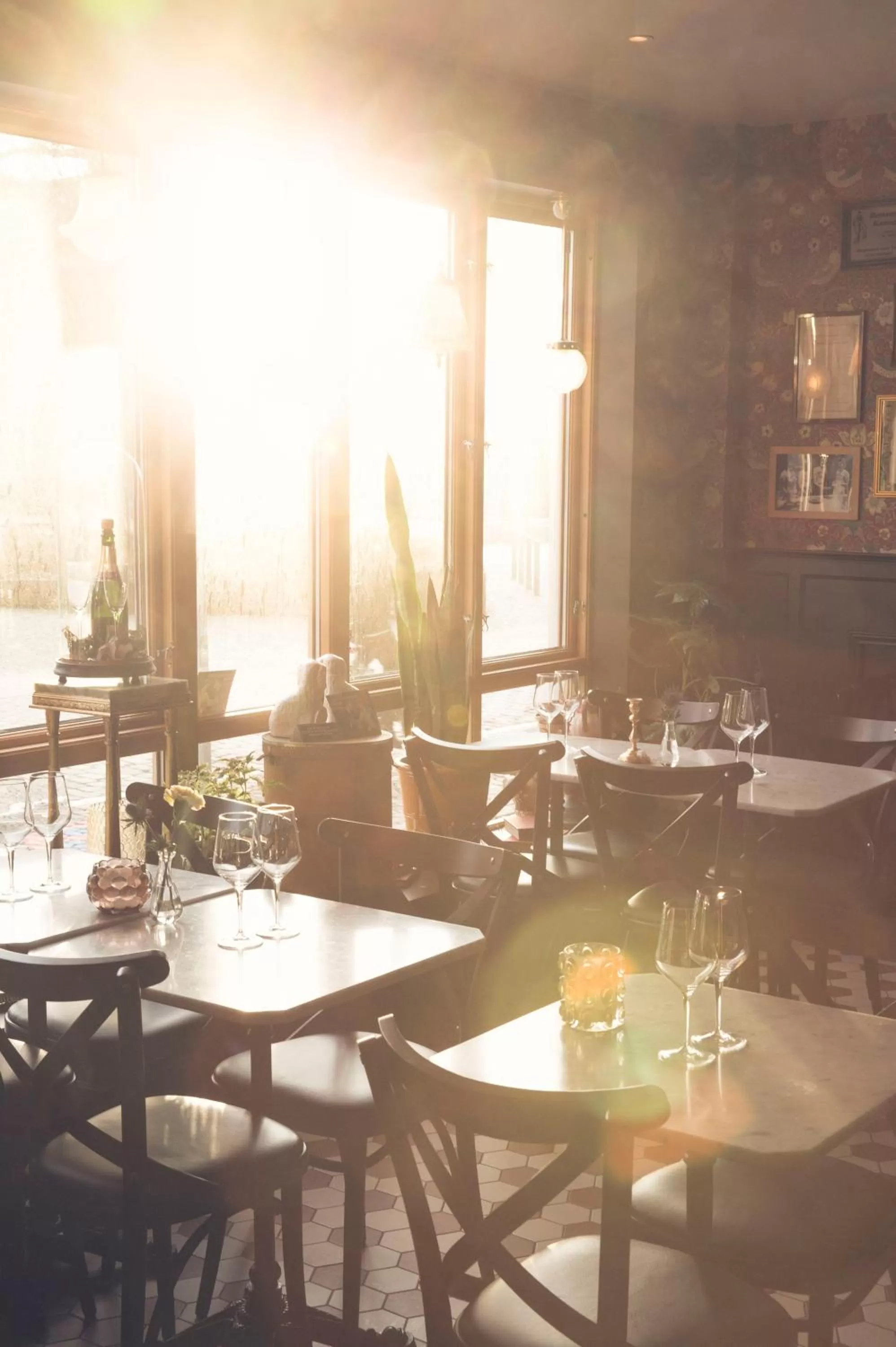 Restaurant/places to eat in Hotell Gästis