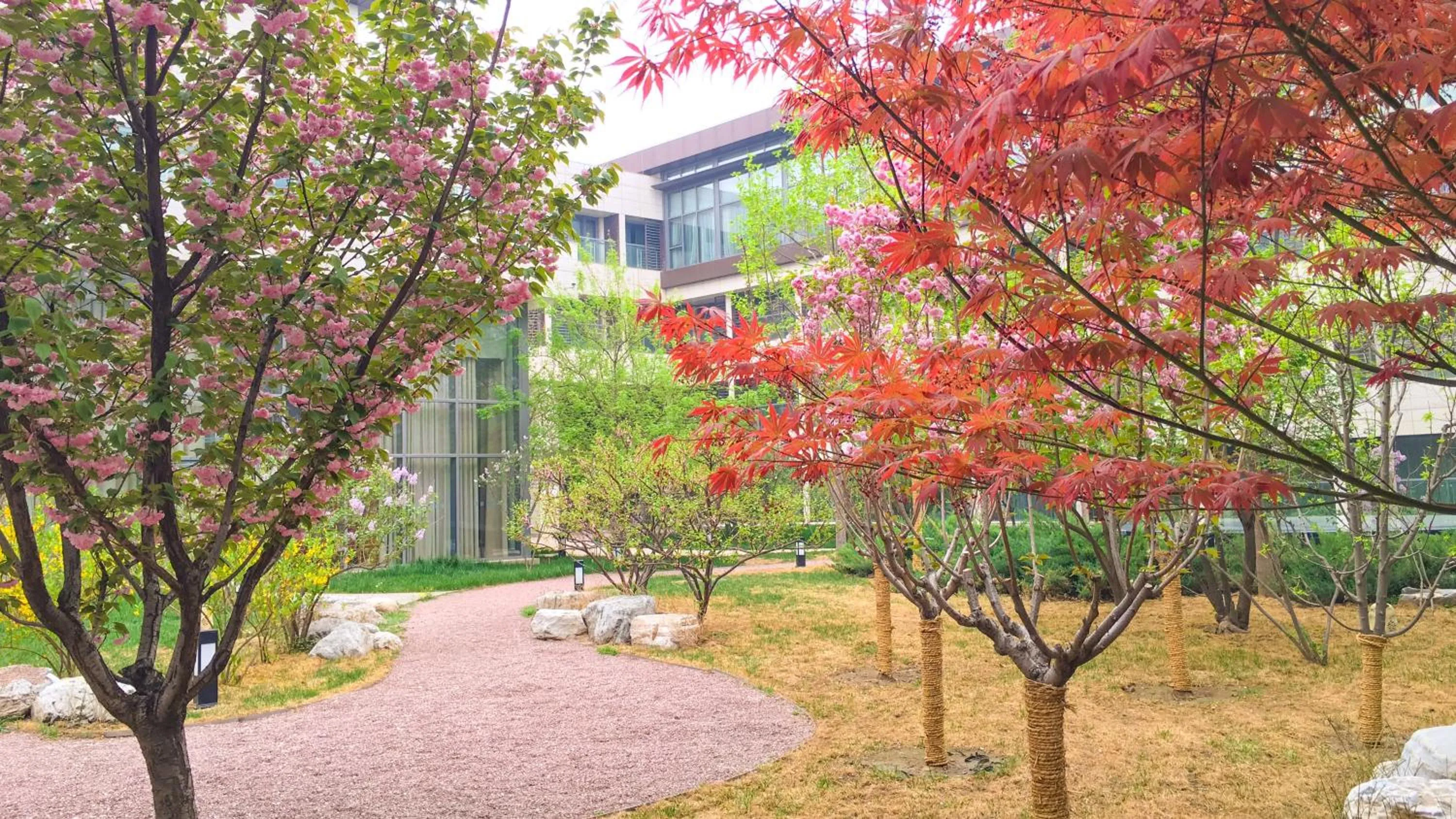 Property building in Holiday Inn Beijing Shijingshan Parkview by IHG