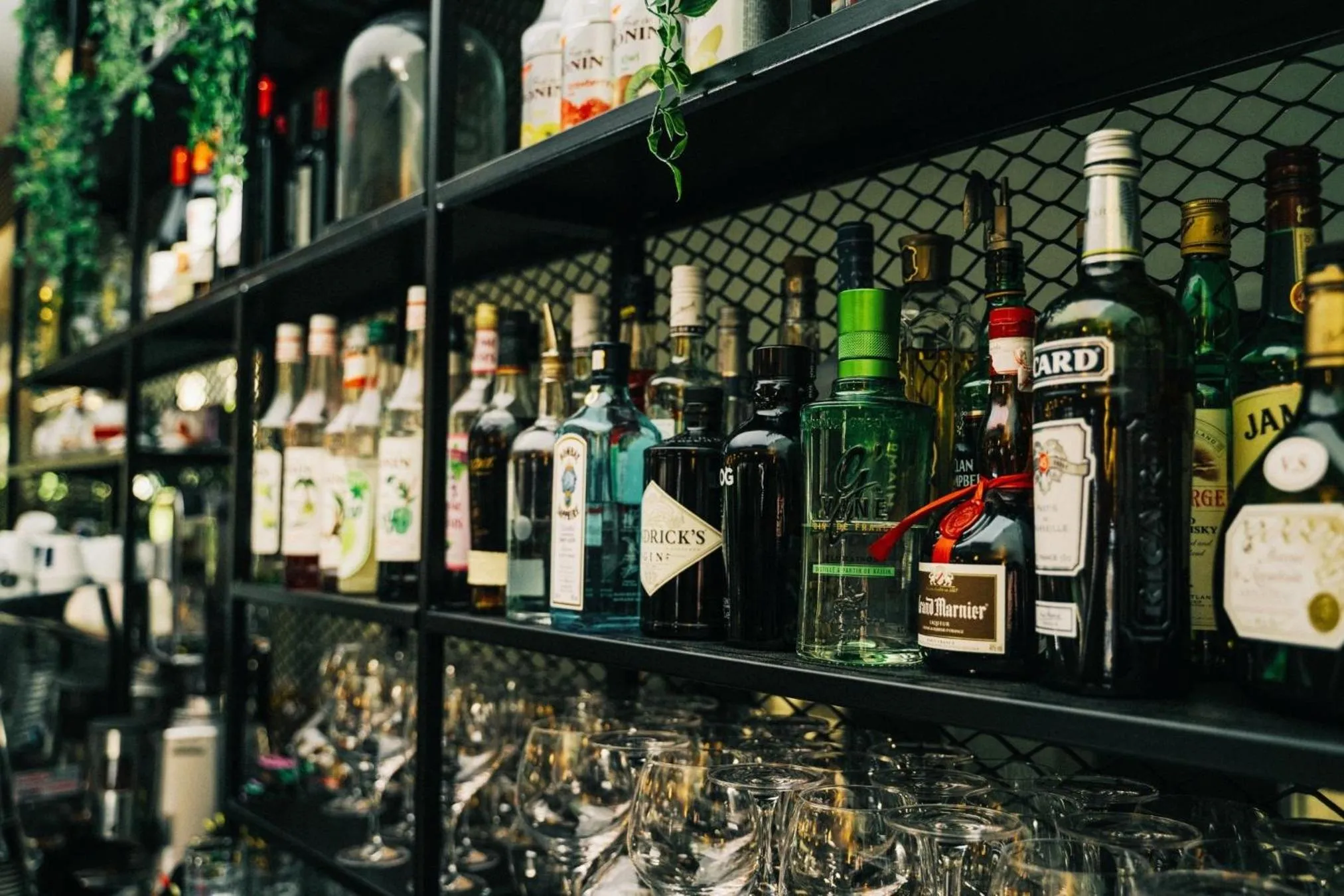 Lounge or bar in Sporting House Hôtel