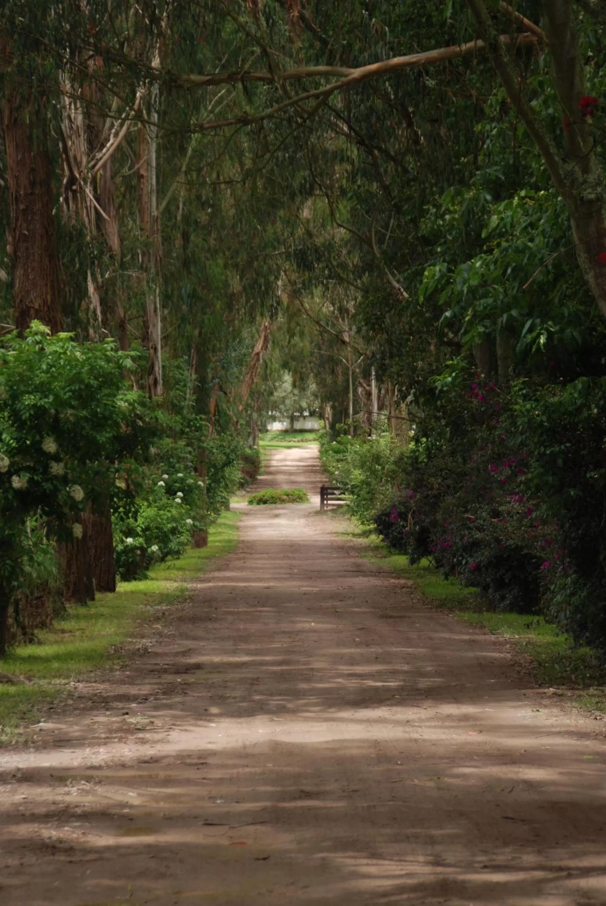 Hiking in Hacienda Suescún - 300 Años de Historia