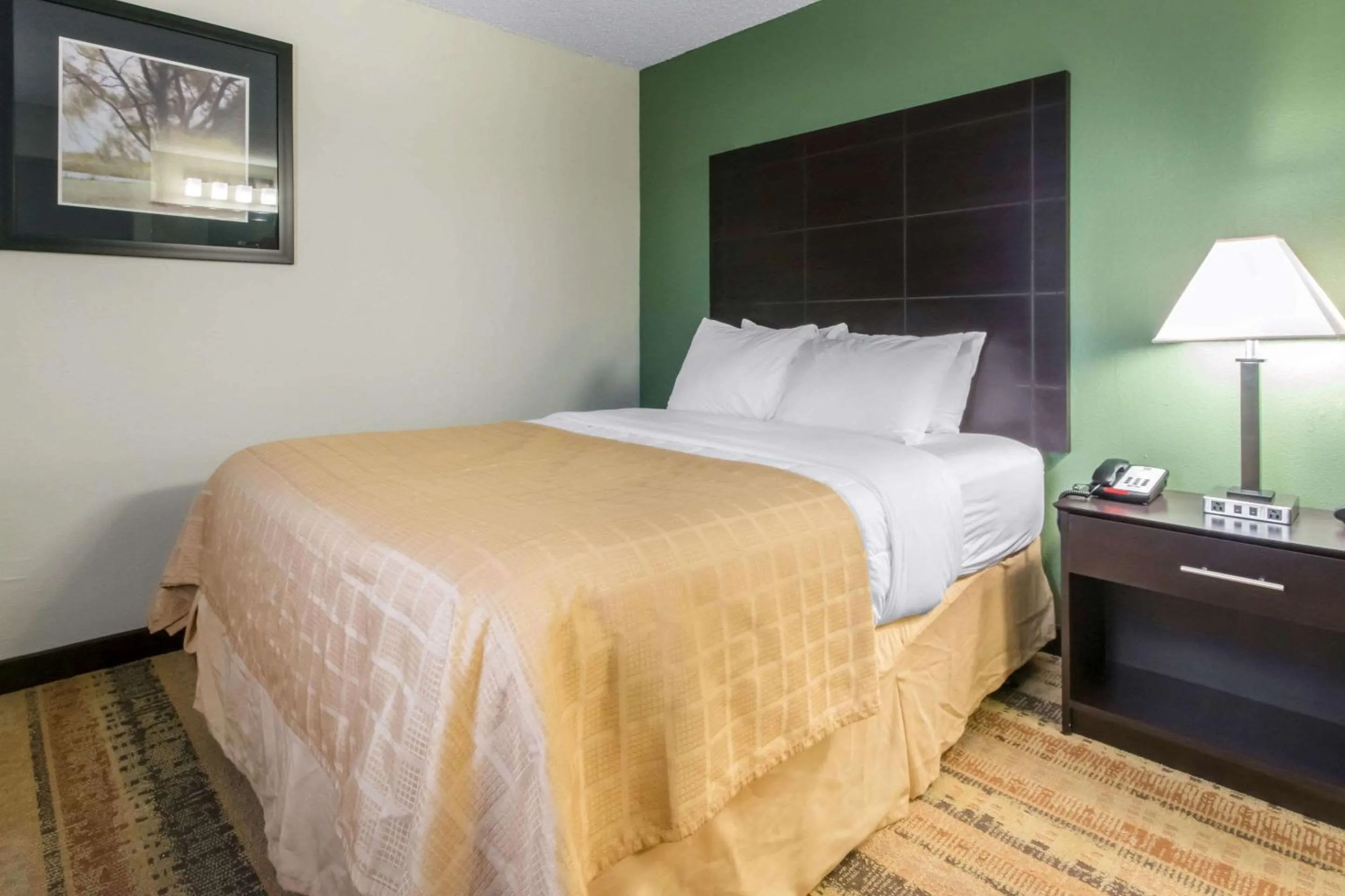 Photo of the whole room, Bed in Quality Inn & Suites Horse Cave - Cave City