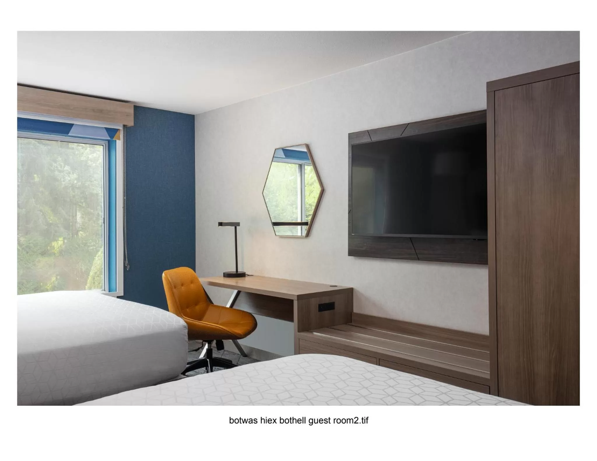 Shower, Bed in Holiday Inn Express Bothell by IHG