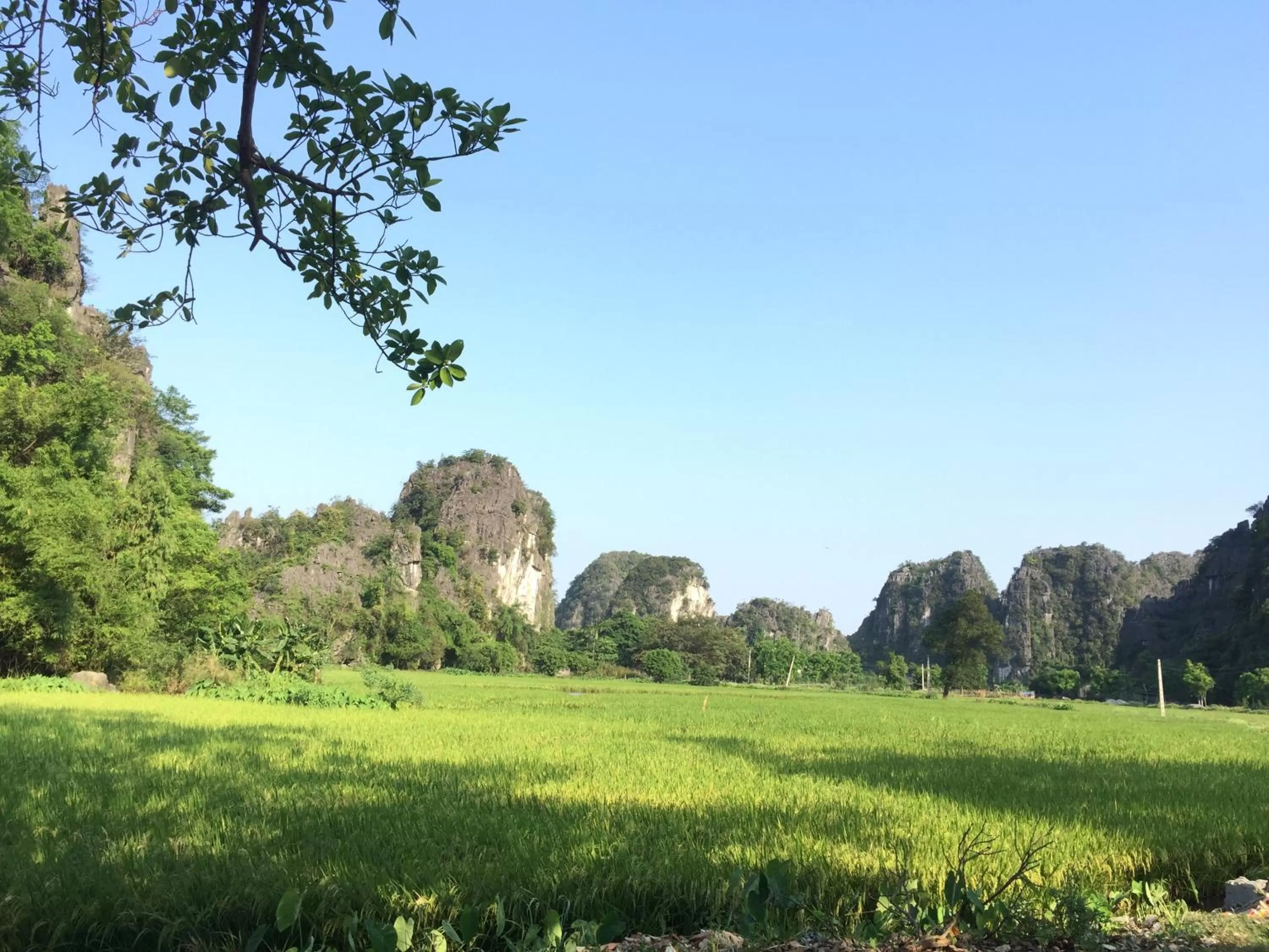Natural landscape in Tam Coc Vinh Thinh Homestay