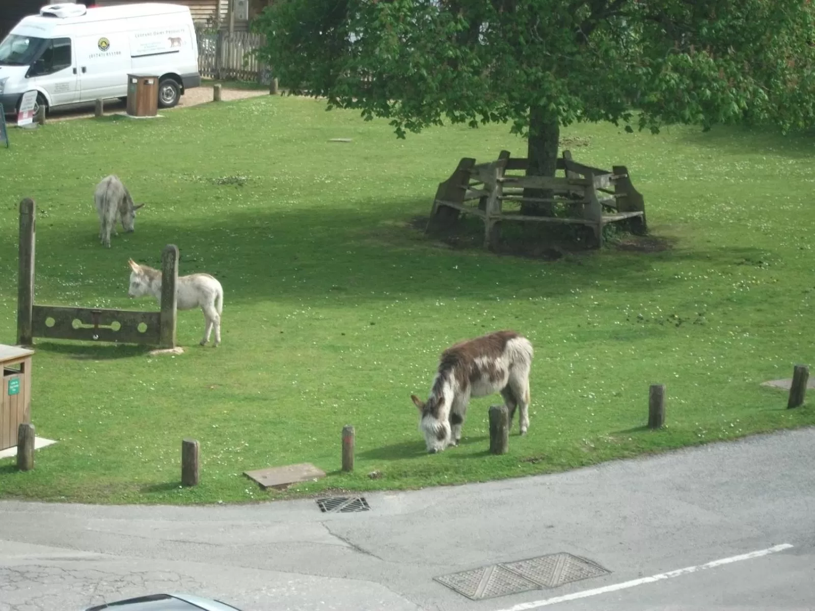 Day in The Trusty Servant Inn