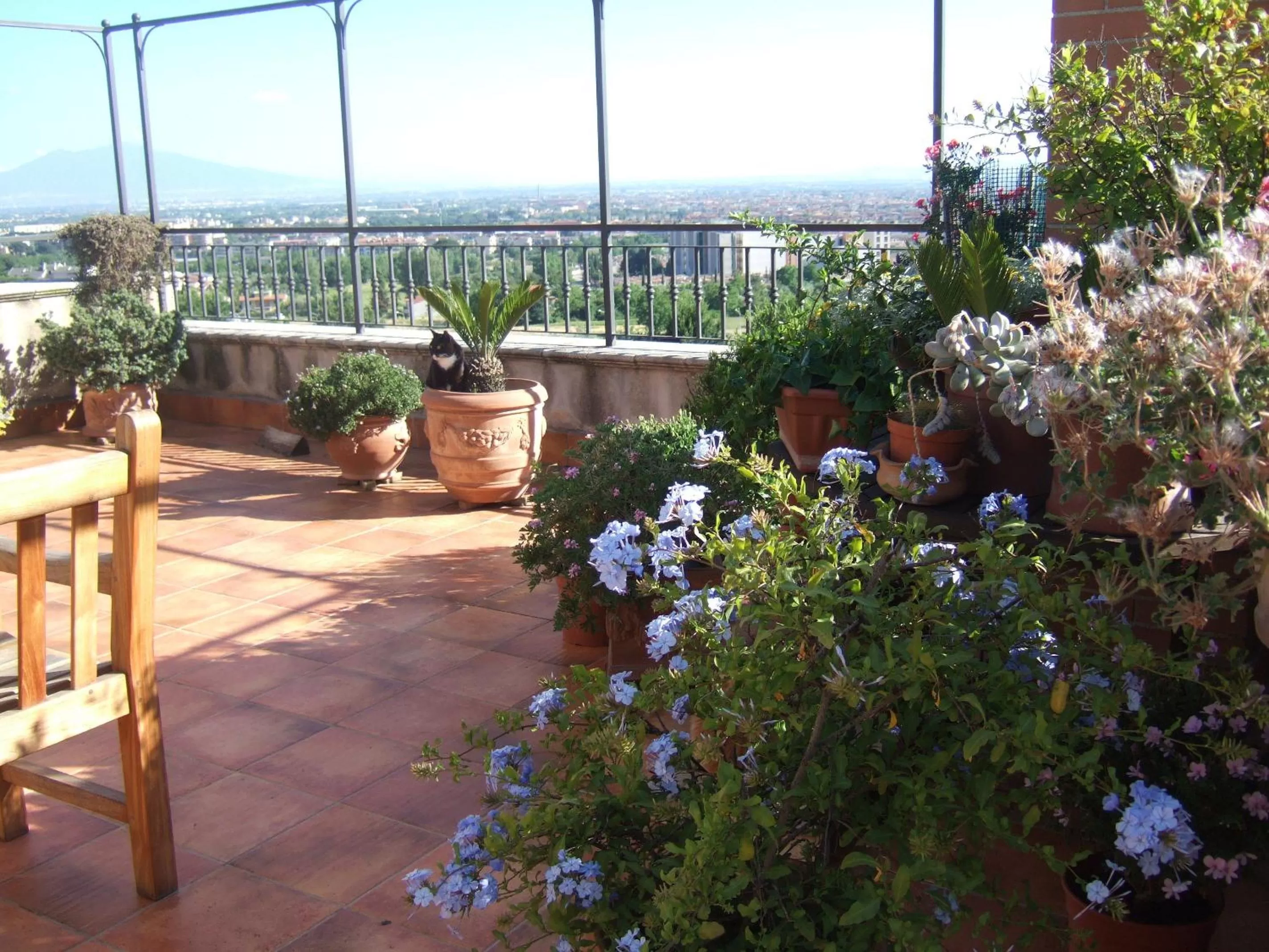 Balcony/Terrace in B&B MontAlbano