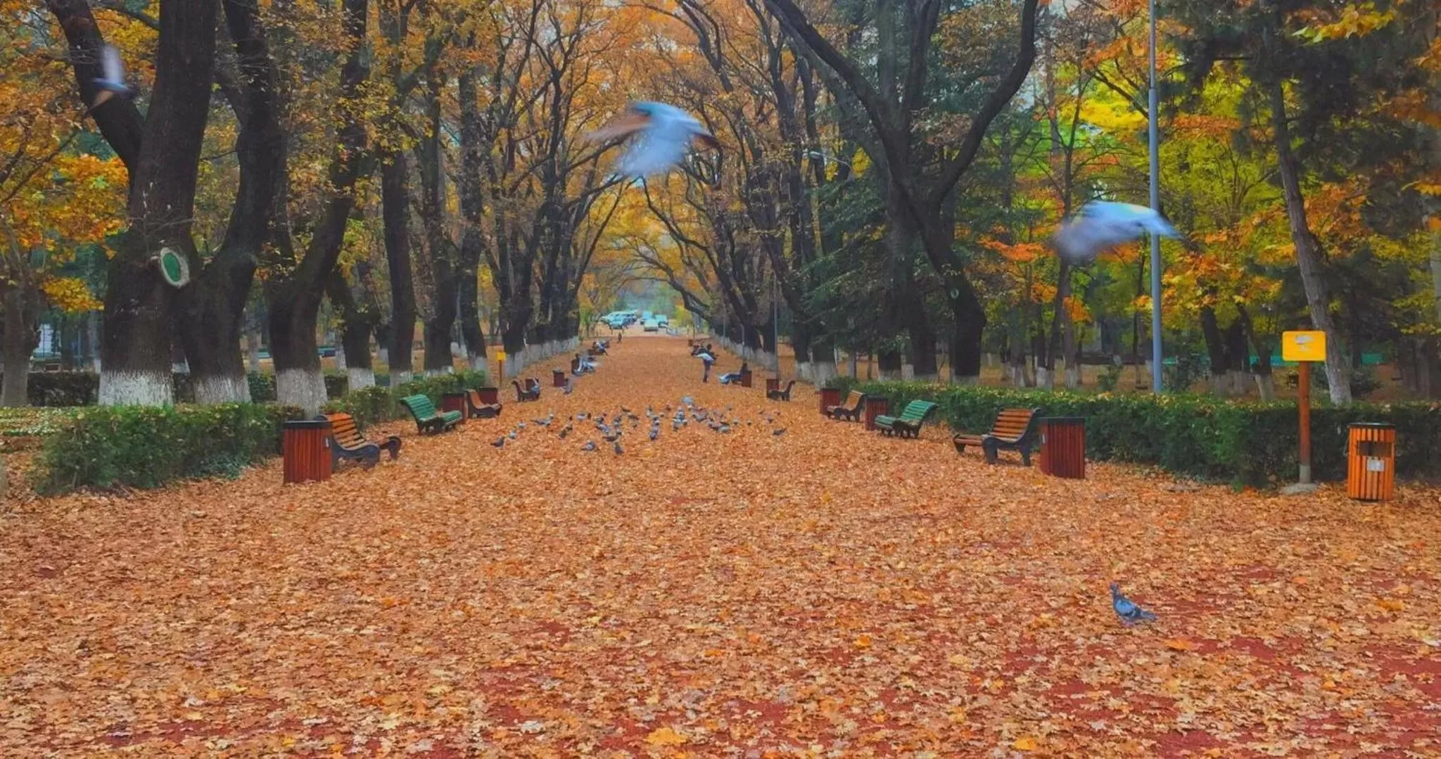 Natural landscape in S&L Boutique Hotel