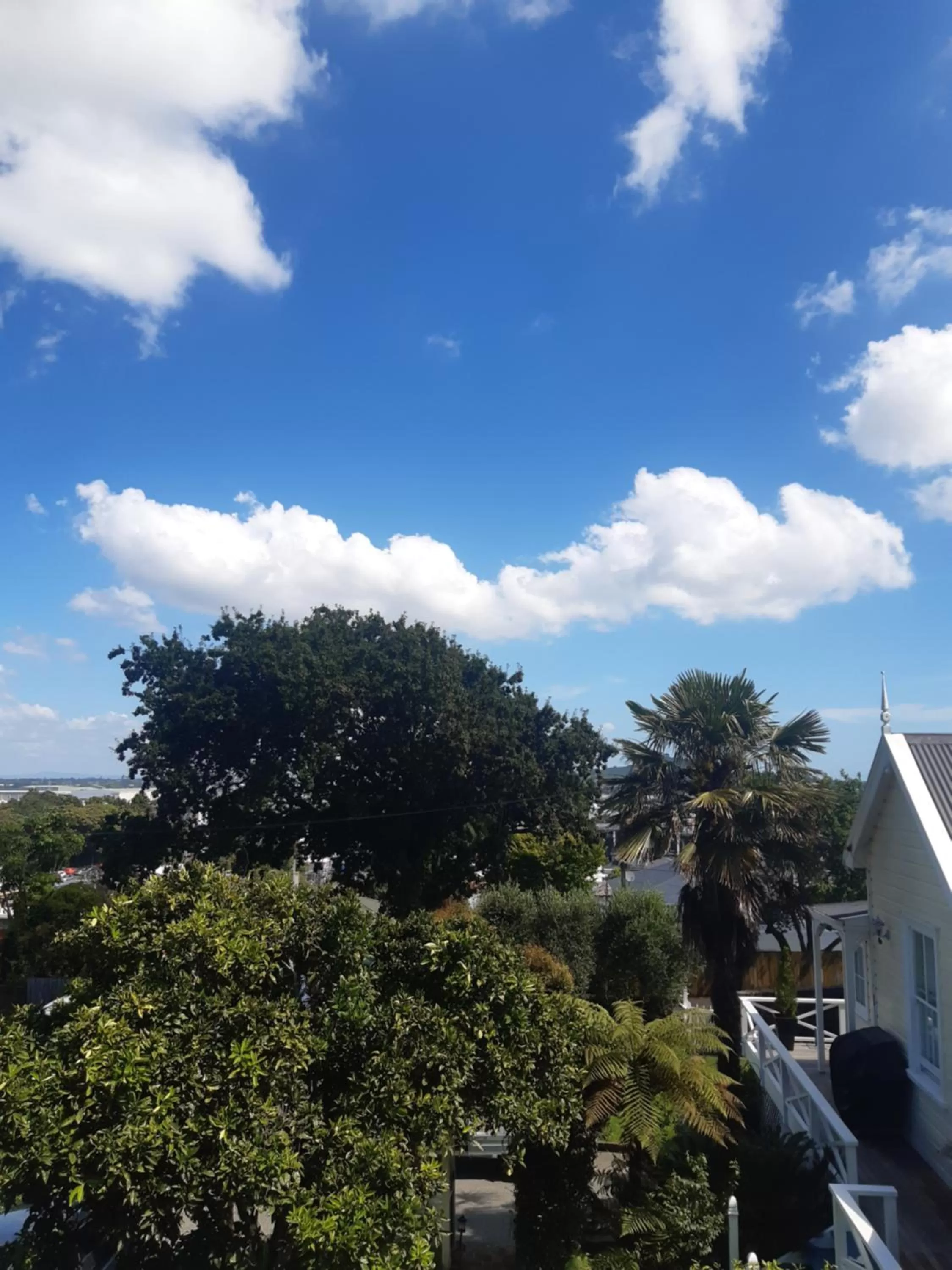 View (from property/room) in Harbour View Cottage