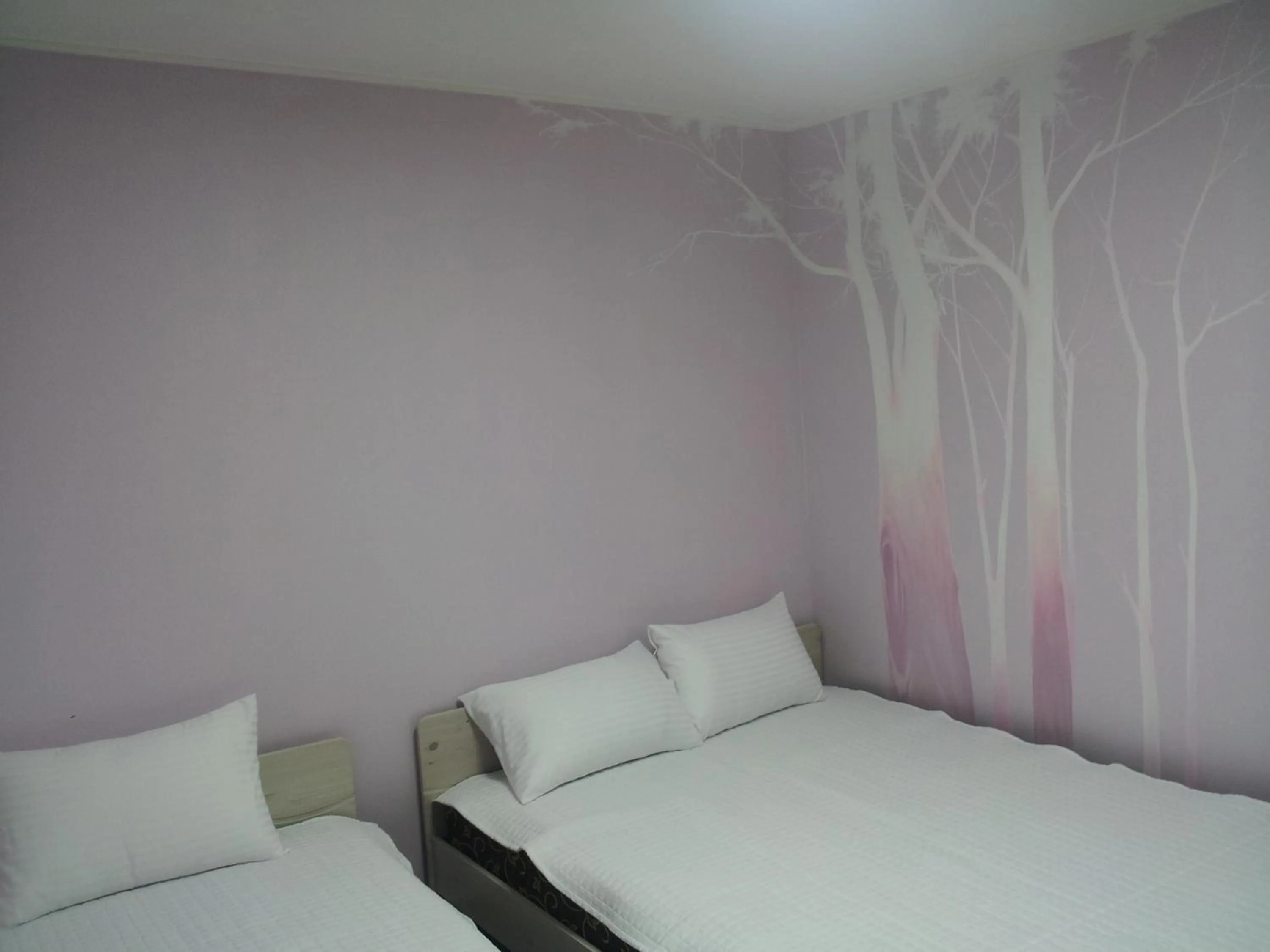 Deluxe Twin Room in MK Liberty House