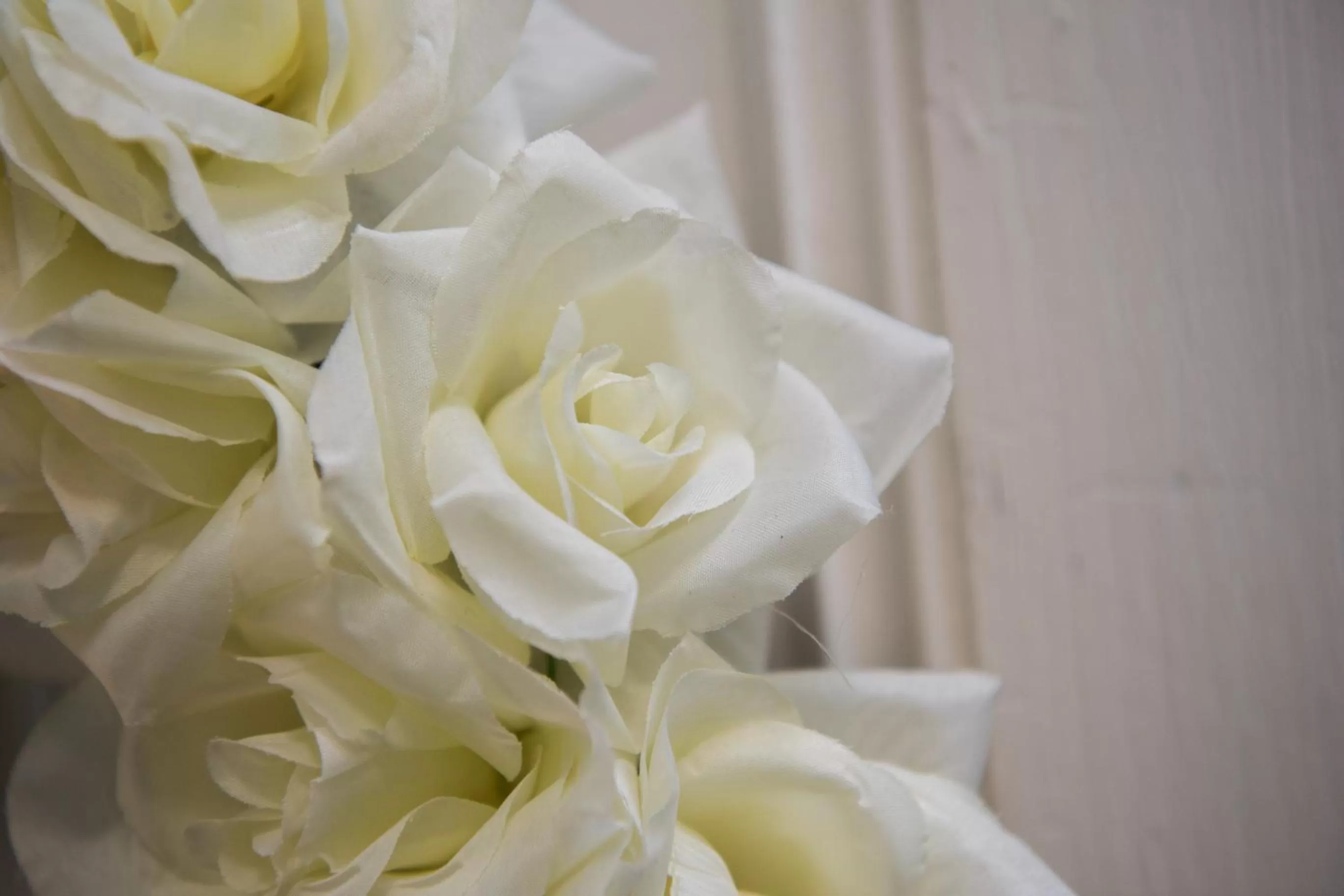 Property building in Harlem Grand