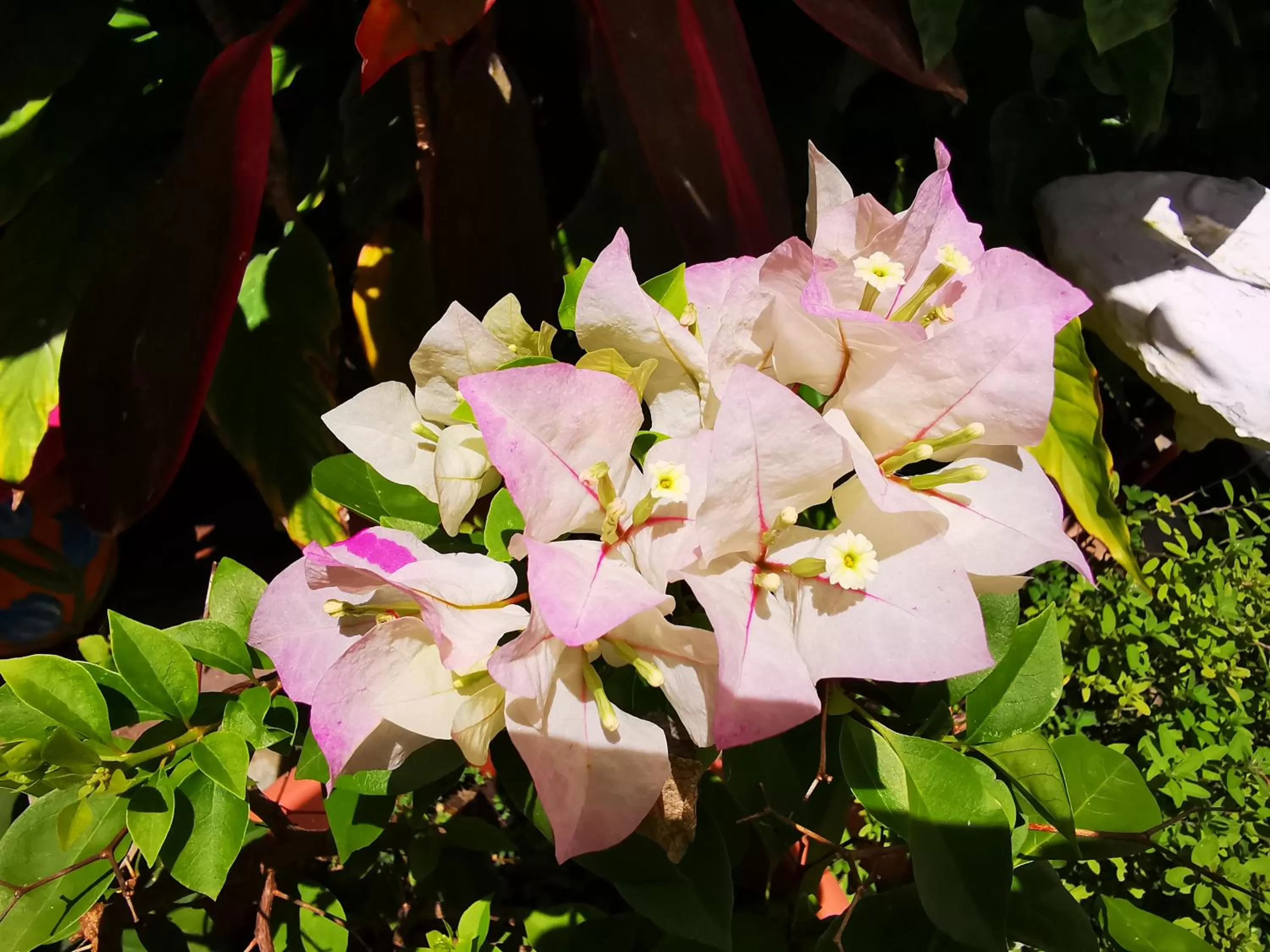 Activities in Hotel Armonía Hostal