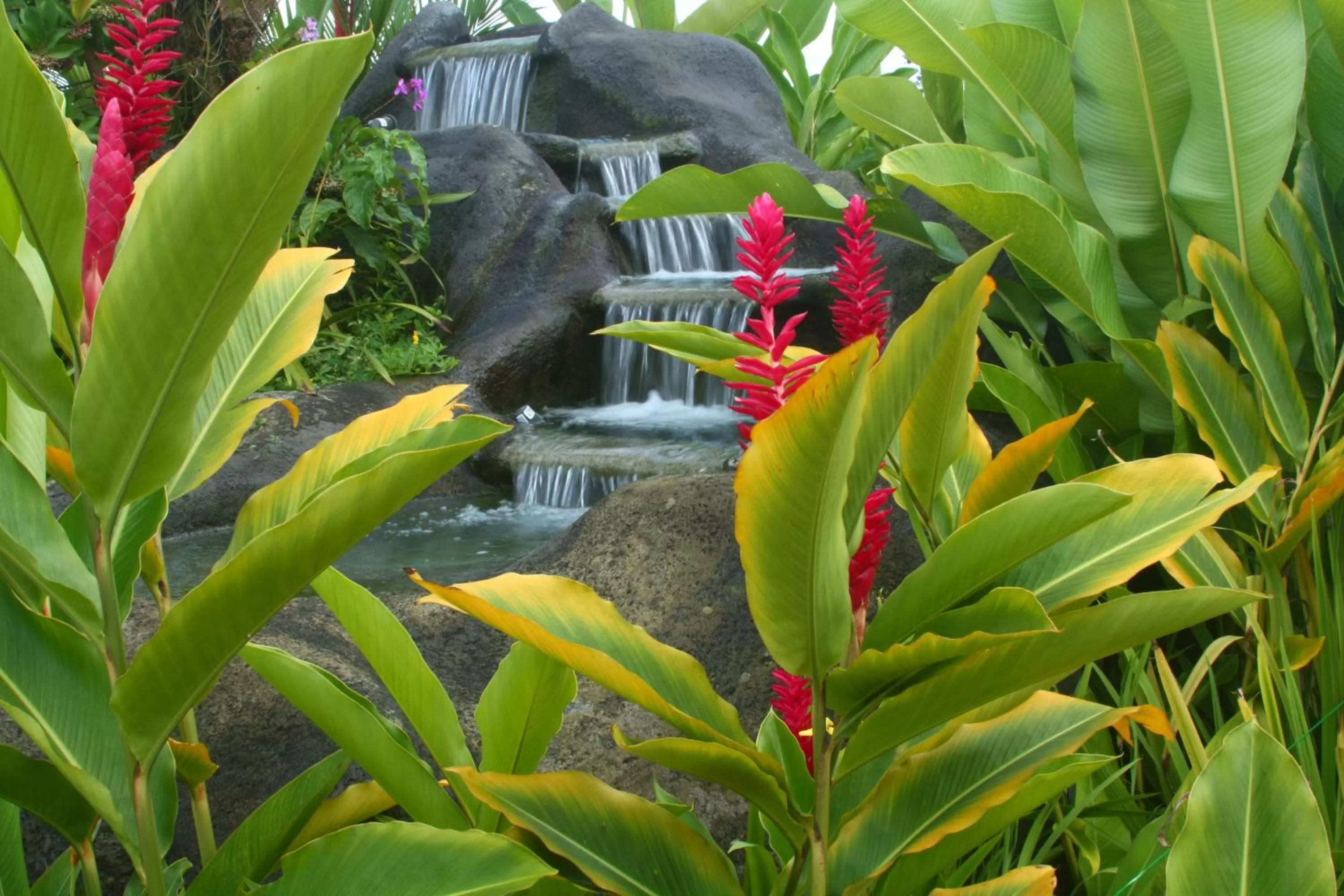 Swimming pool in Volcano Lodge, Hotel & Thermal Experience
