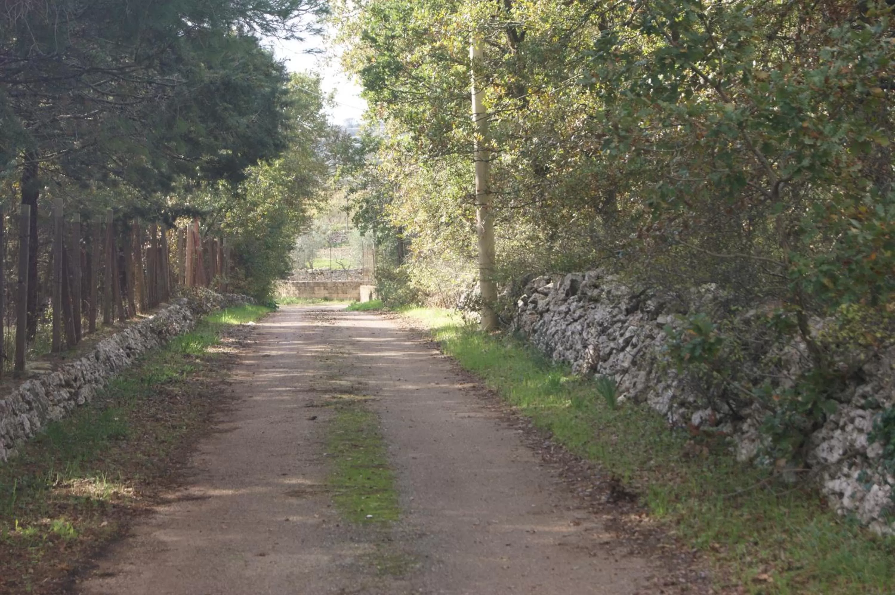 Spring, Garden in Arome B&B