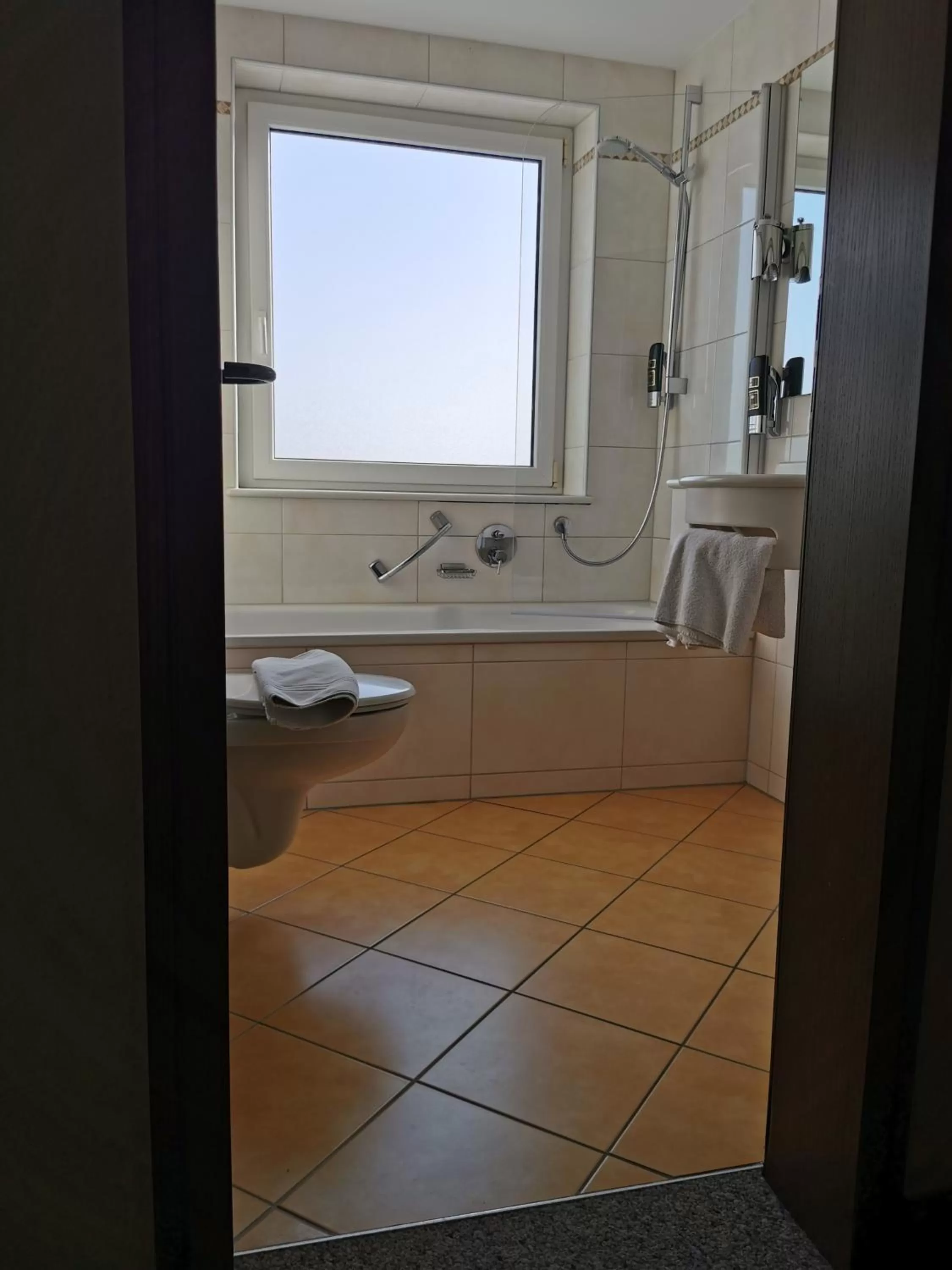 Bathroom in Hotel Engel