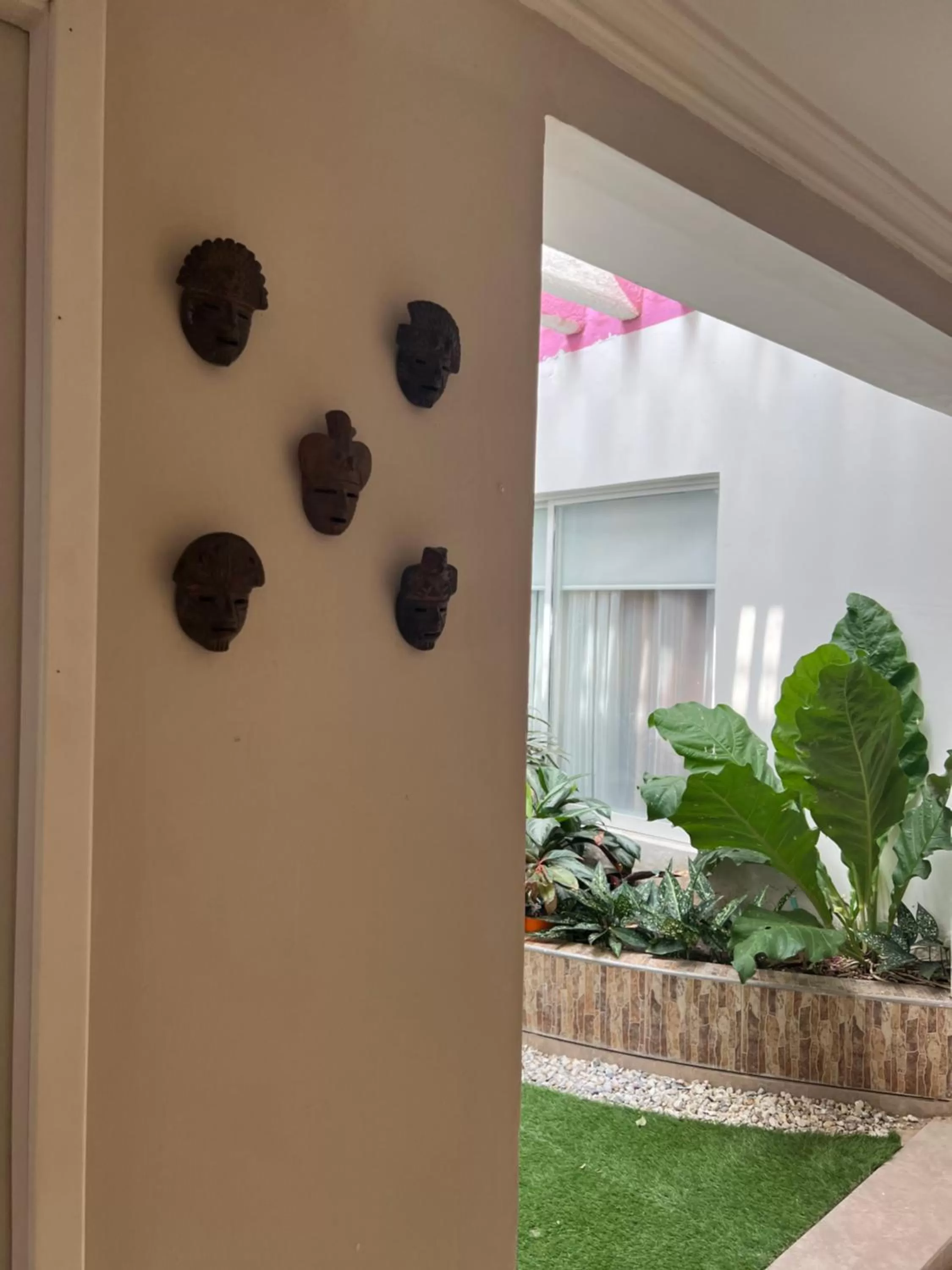 Garden view in Hotel Boutique Casa chunuu Santa Marta