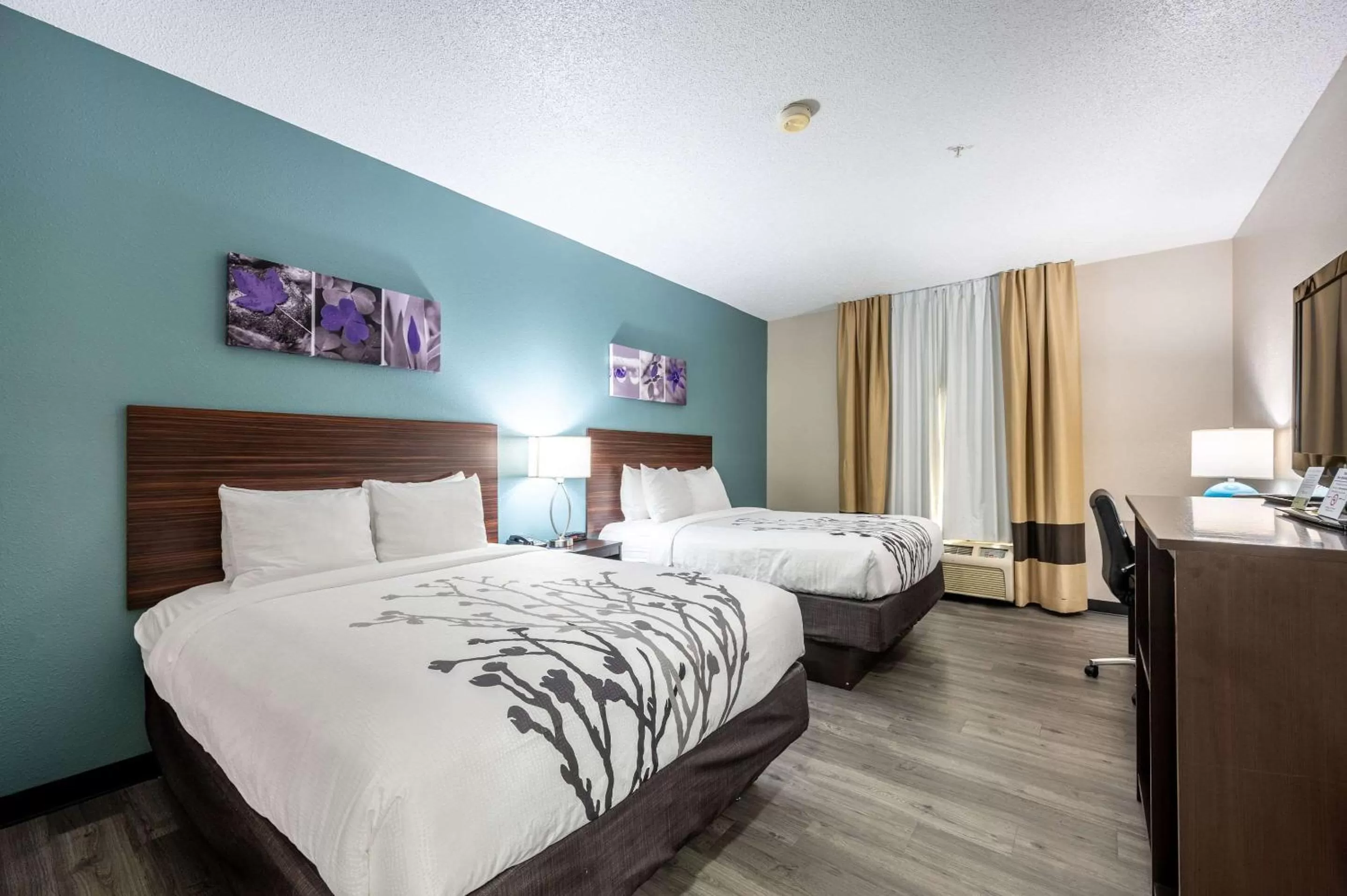 Photo of the whole room in Sleep Inn & Suites