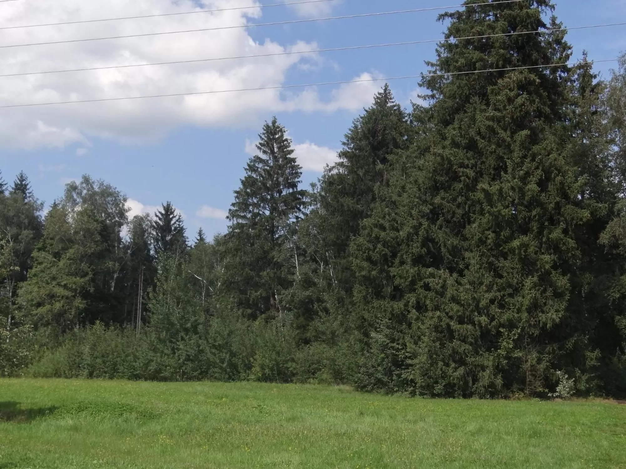 View (from property/room) in Beim Haxenwirt