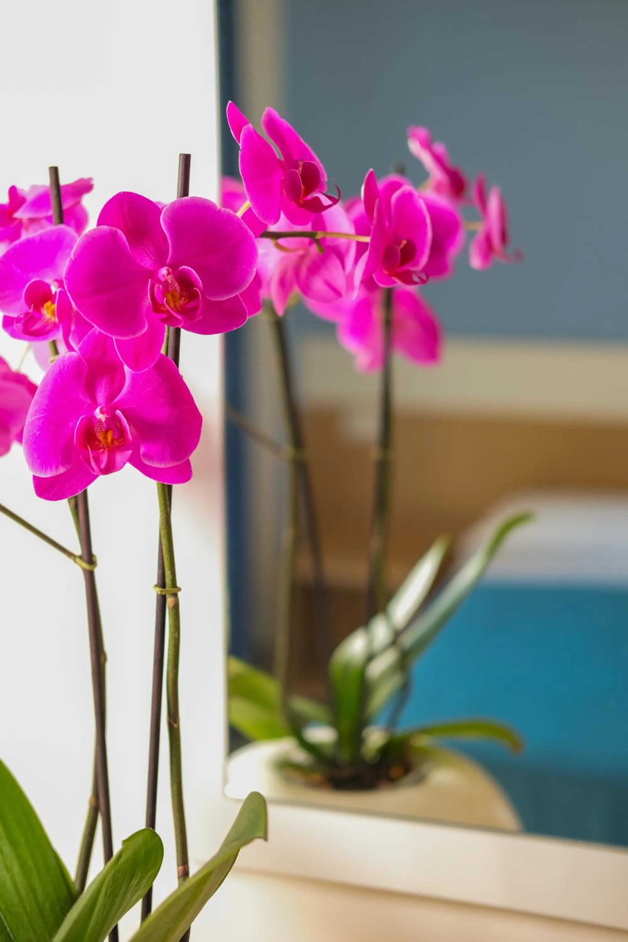 Bedroom, Bed in Ticho's Greenblu Hotel