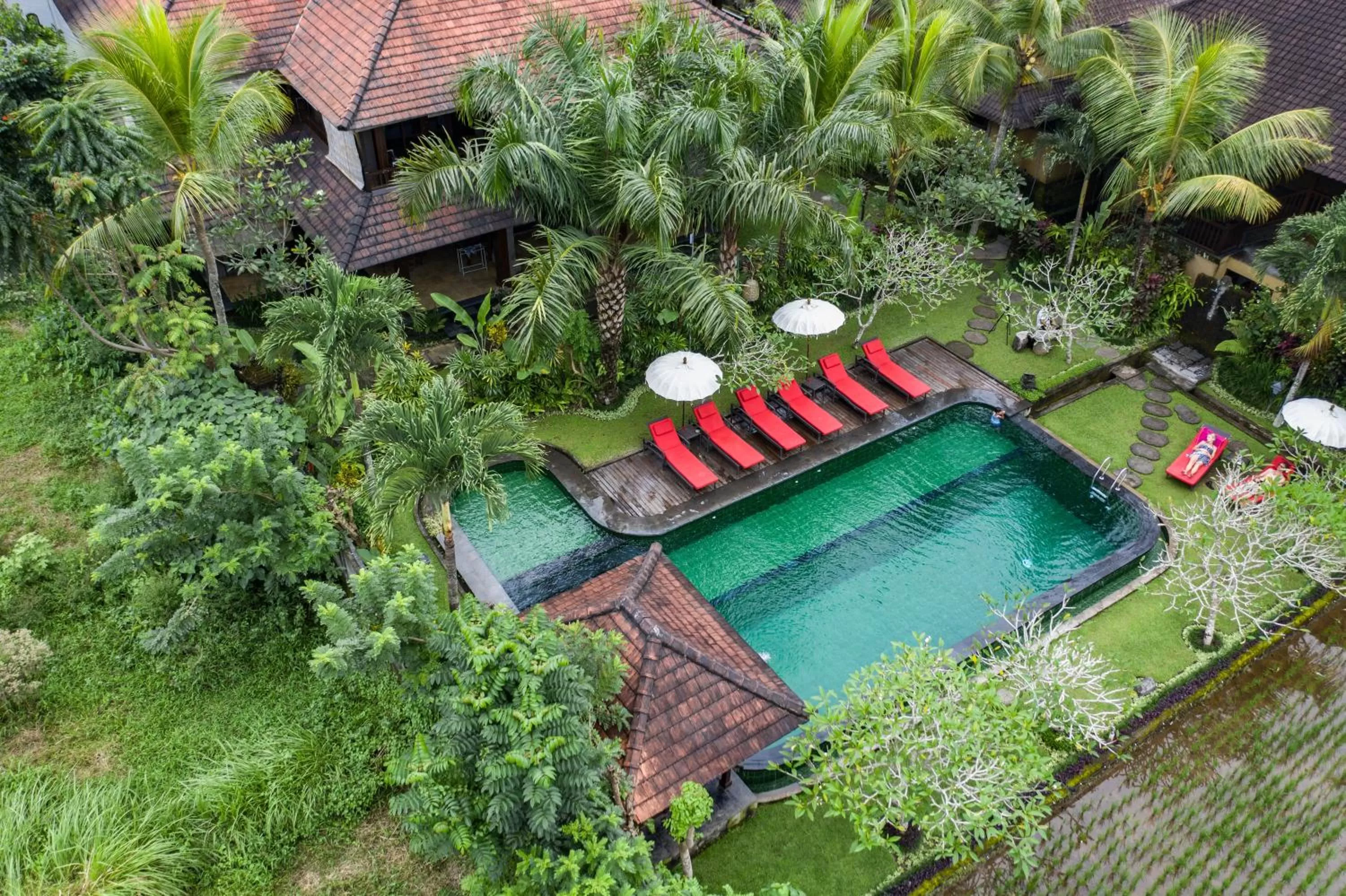 View (from property/room) in Bliss Ubud Spa Resort