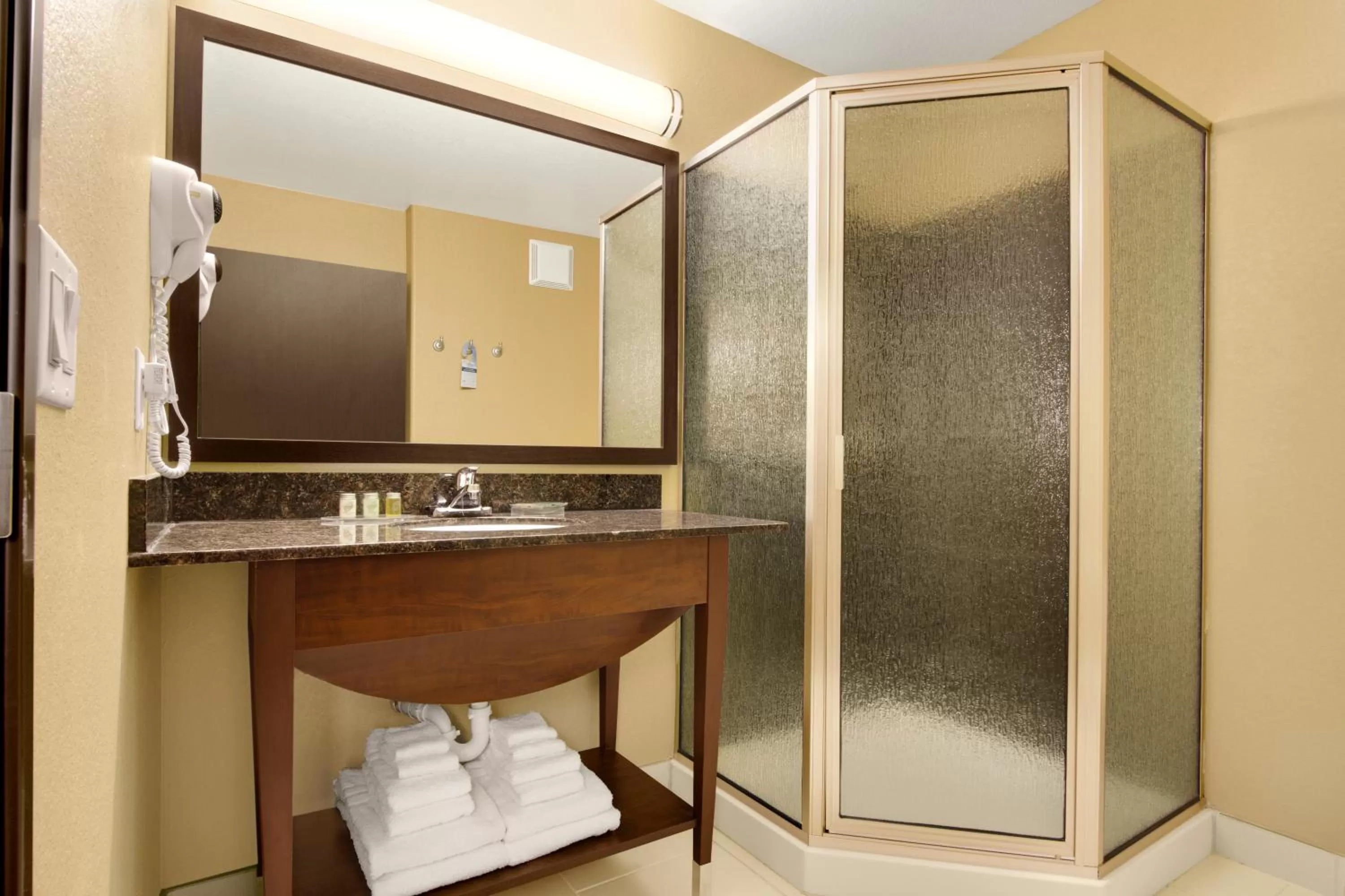 Queen Suite - Non-Smoking in Microtel Inn & Suites by Wyndham Buda Austin South