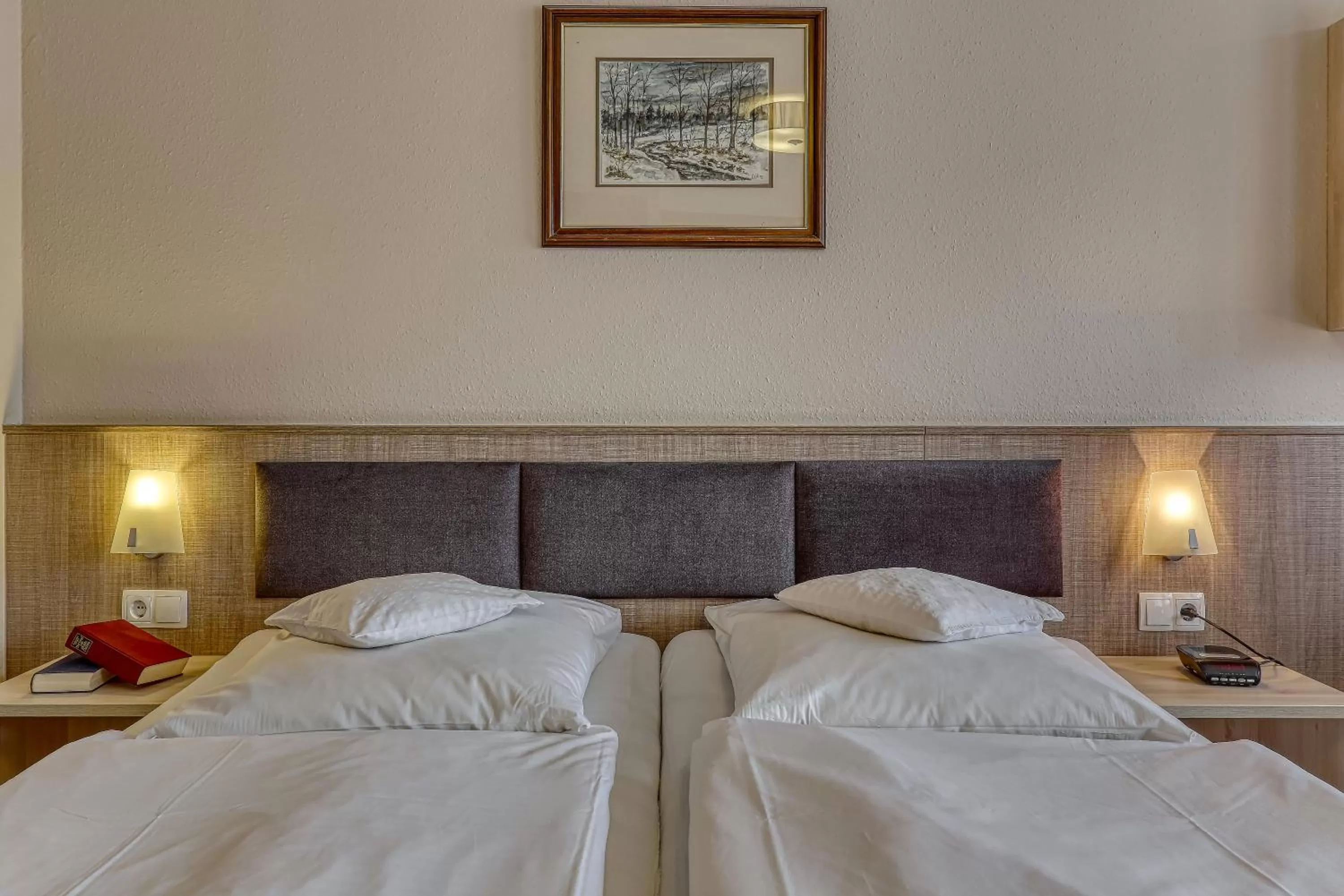 Bed in Kurpension Freudenstein