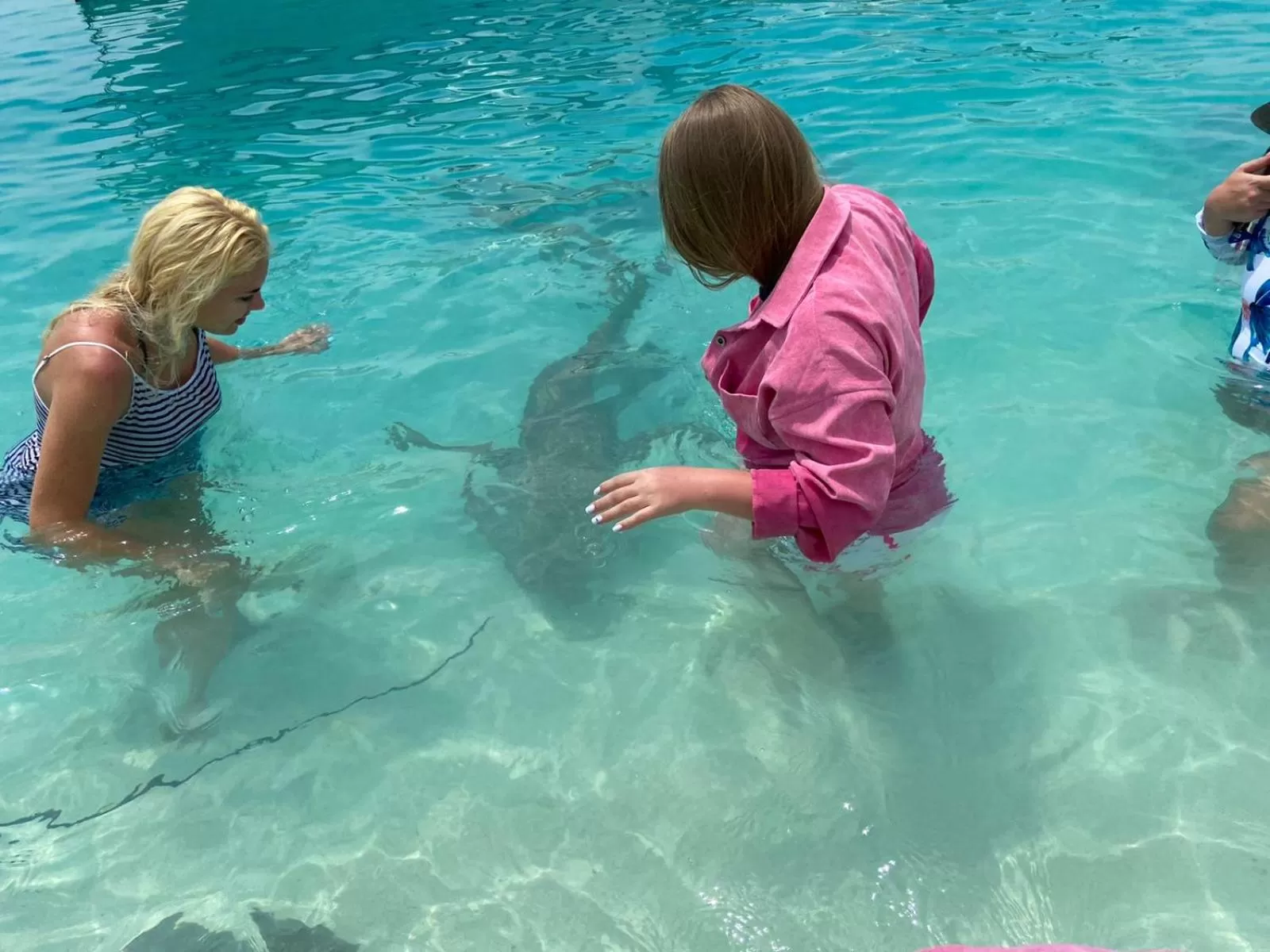 Snorkeling in Araamview