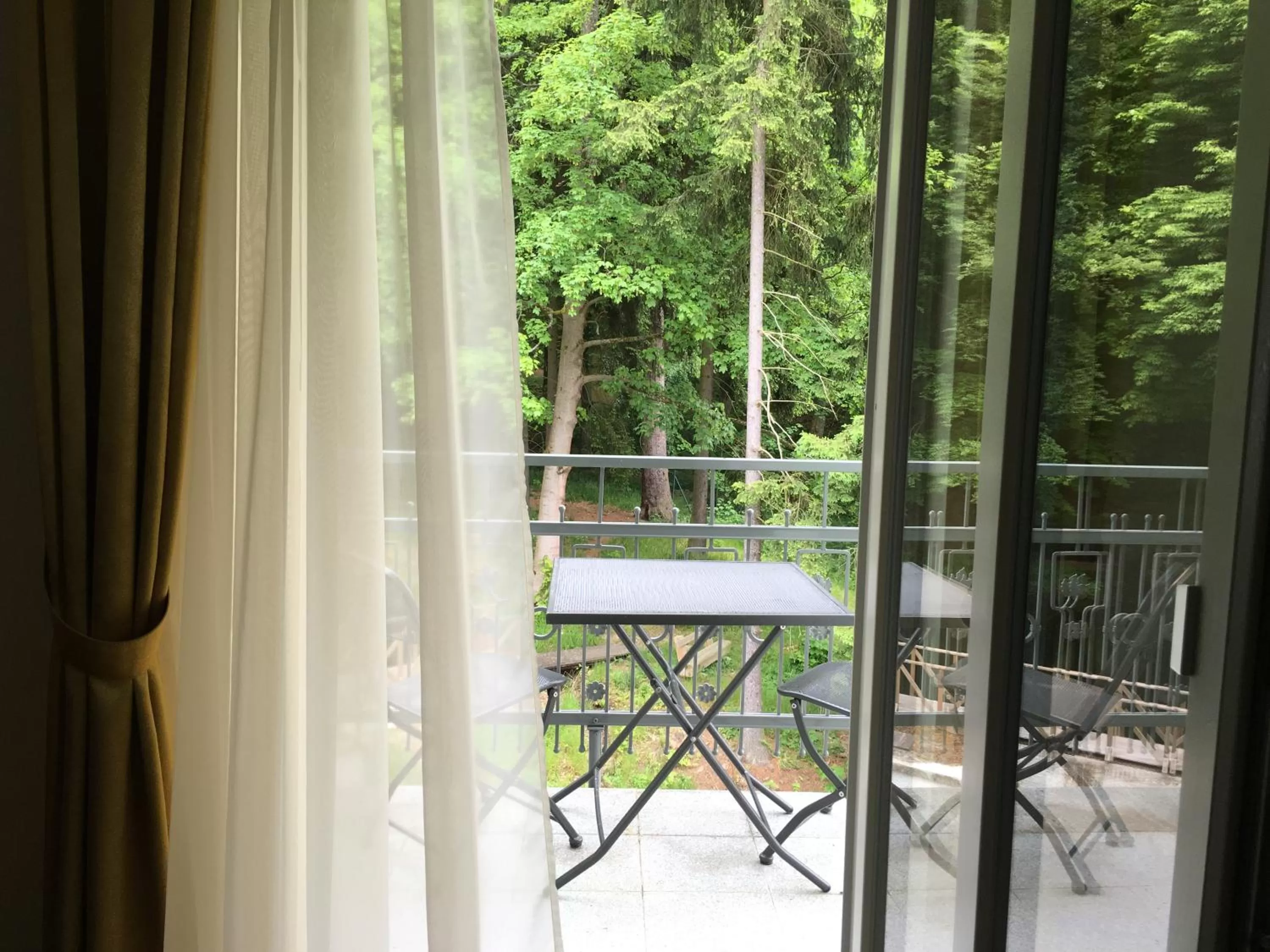 Garden view in Parkhotel Forest