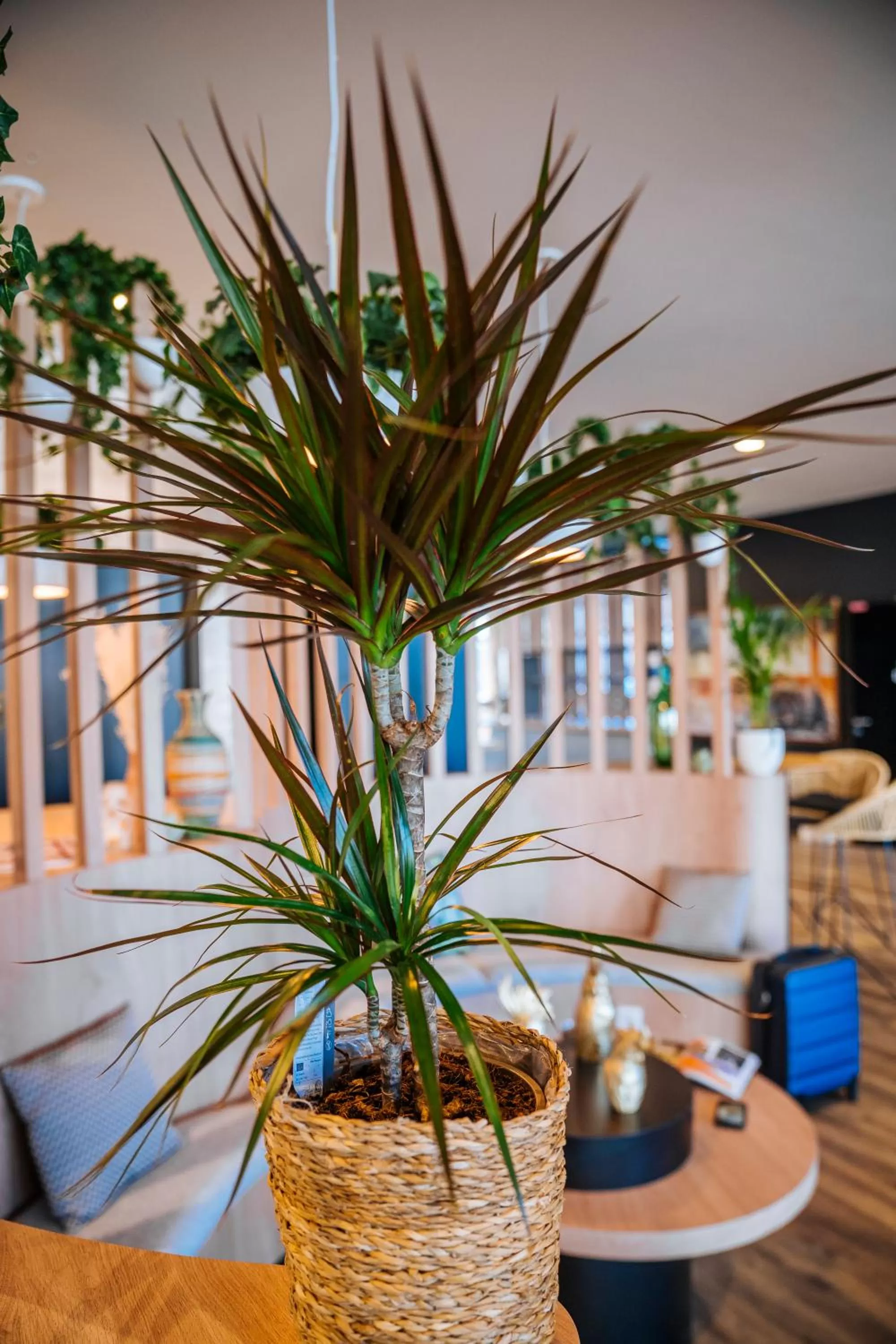 Decorative detail in ibis budget Rouen Centre Rive Gauche