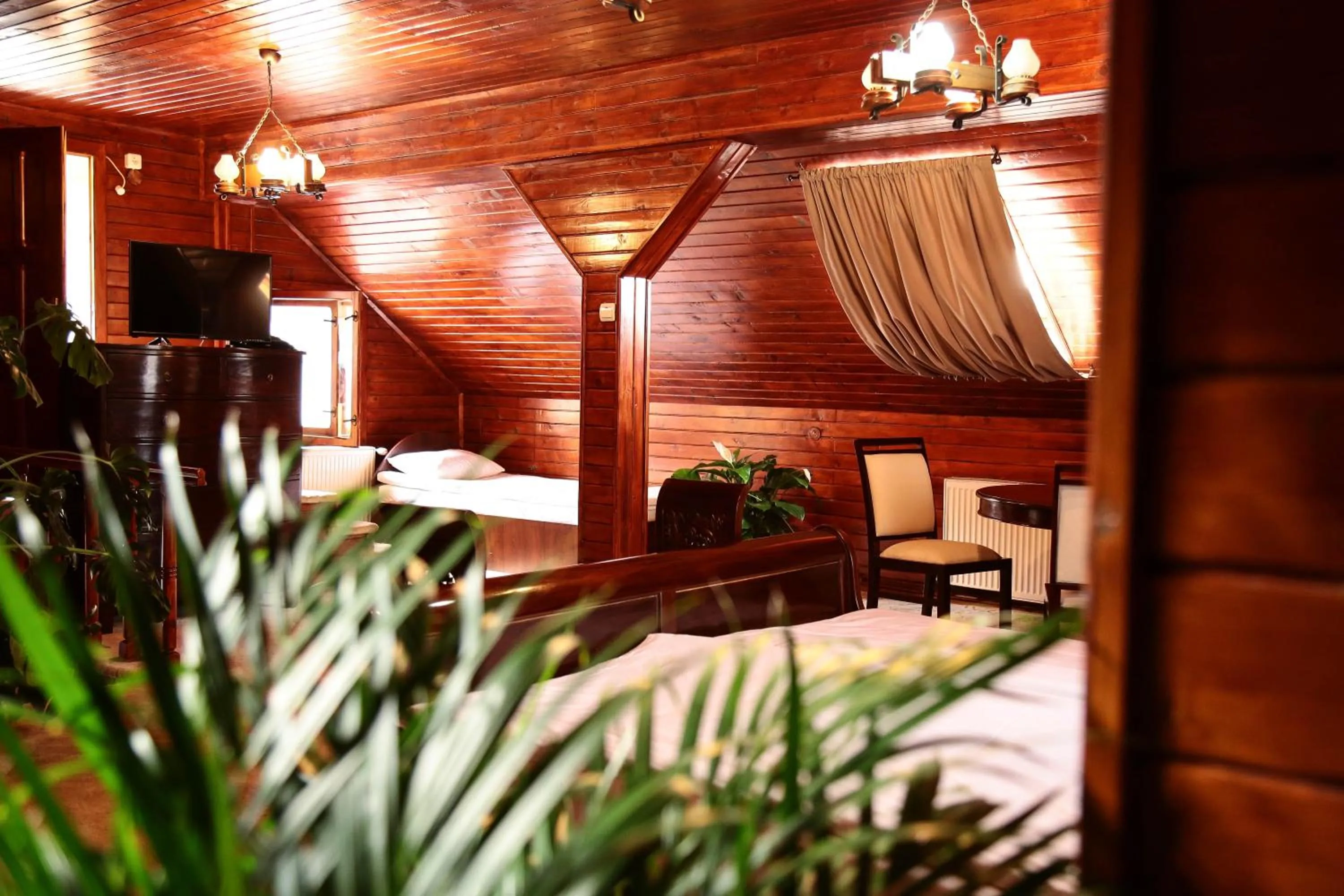 Photo of the whole room in Hotel Apollonia