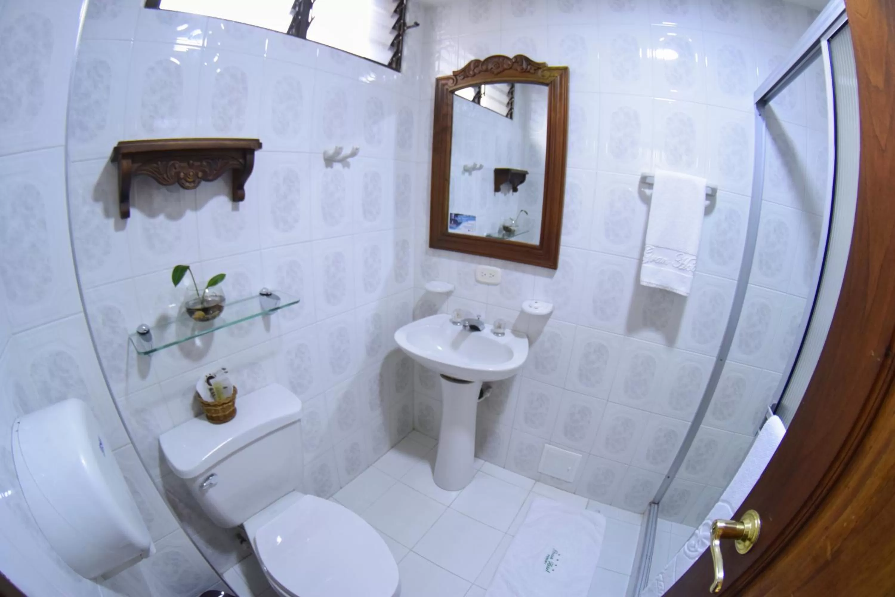 Toilet in El Gran Hotel de Pereira