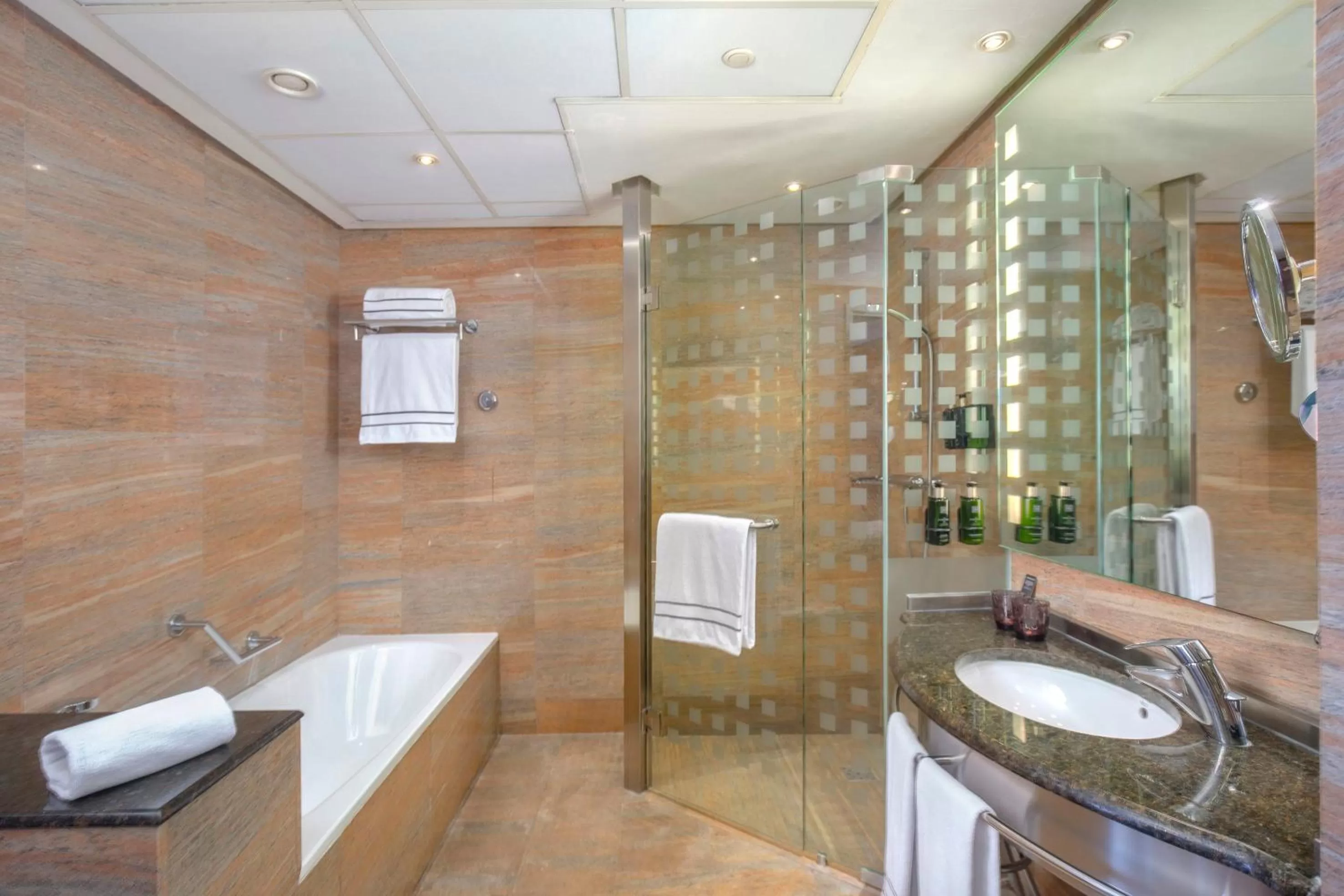 Shower in Melia Valencia