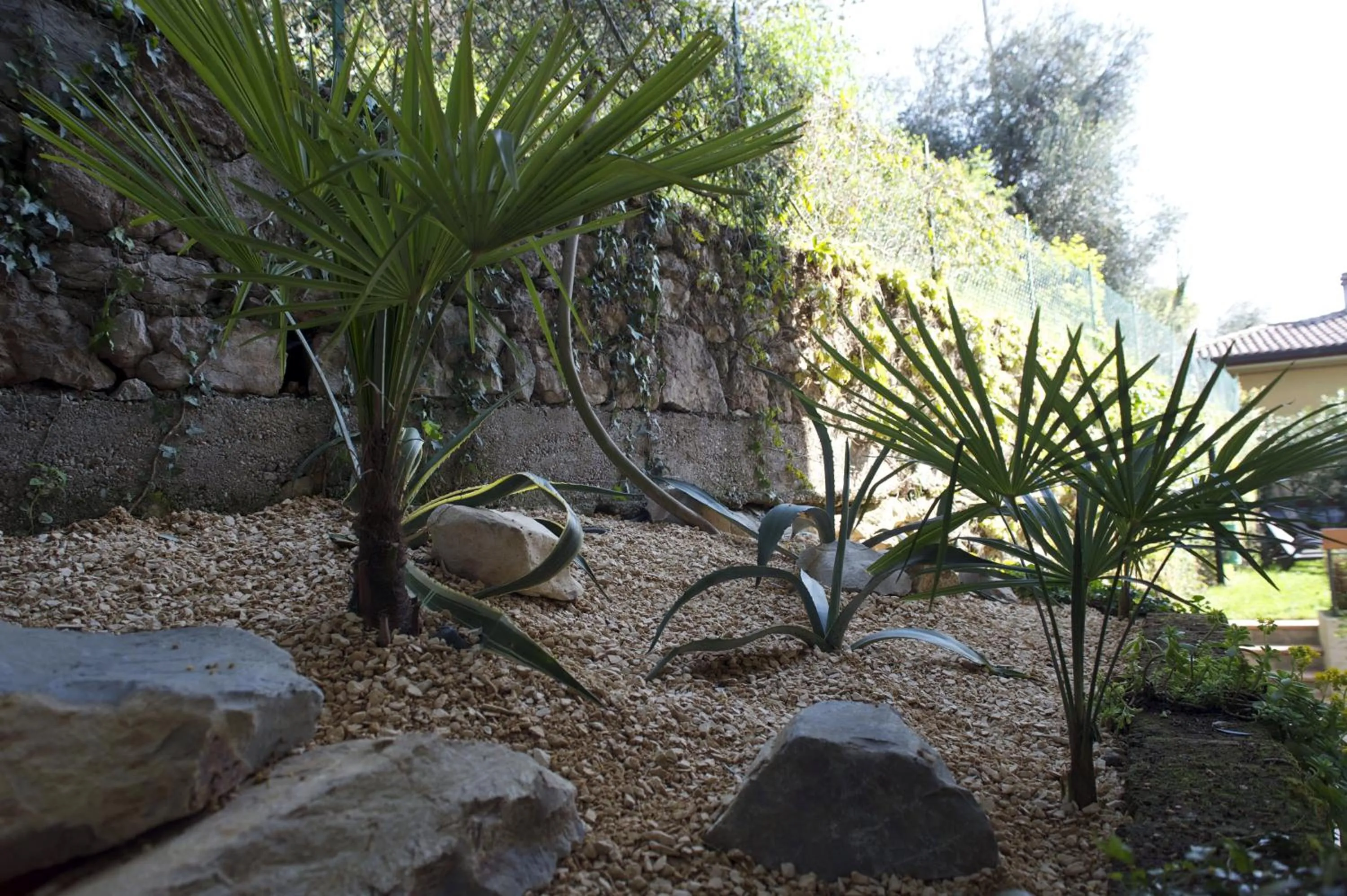 Garden in Albergo Villa Edera