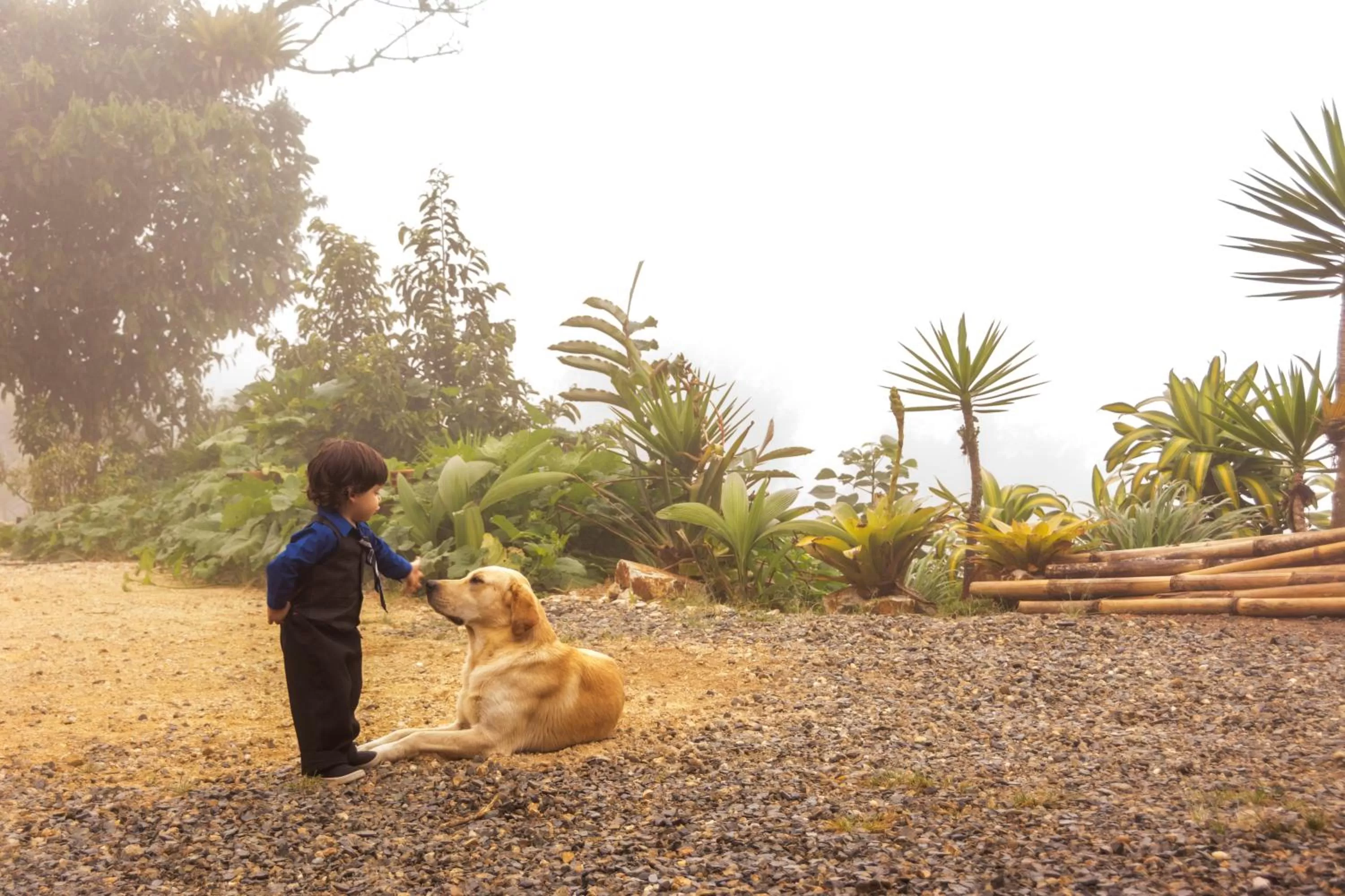 Garden in Hosteria Florecer