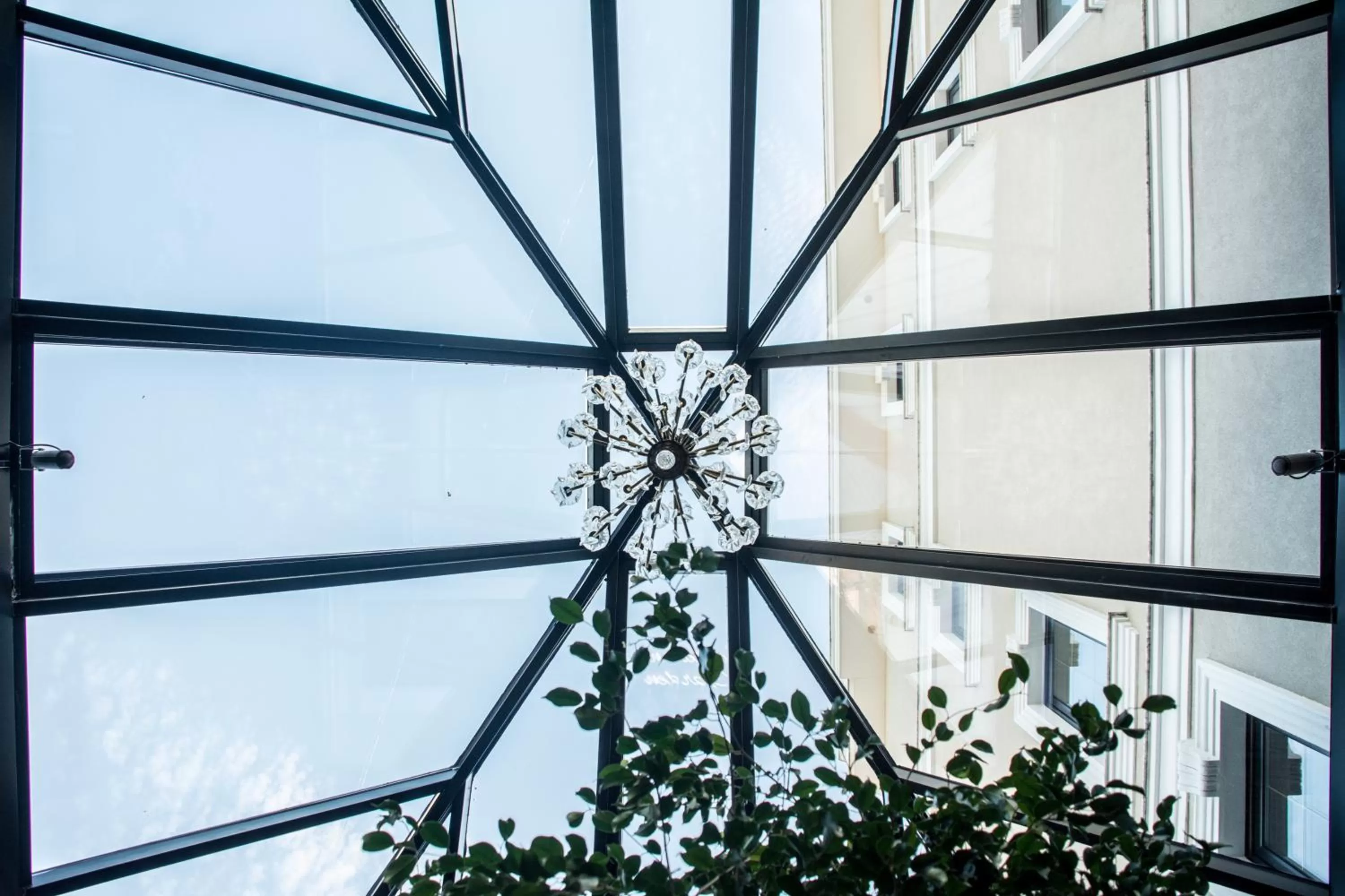 Garden in Hotel Epidamn Boutique & Spa