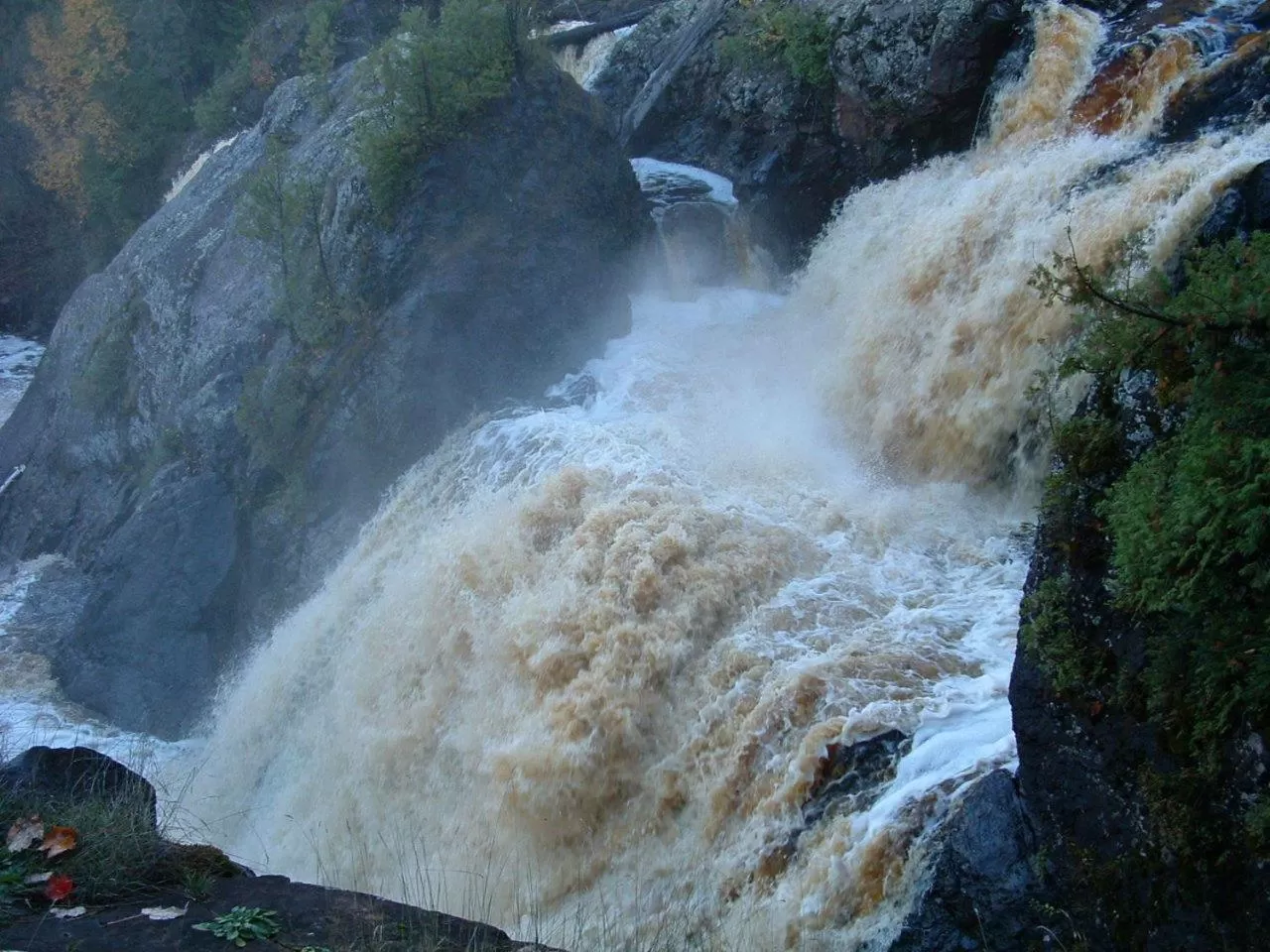 Area and facilities in Budget Host Inn