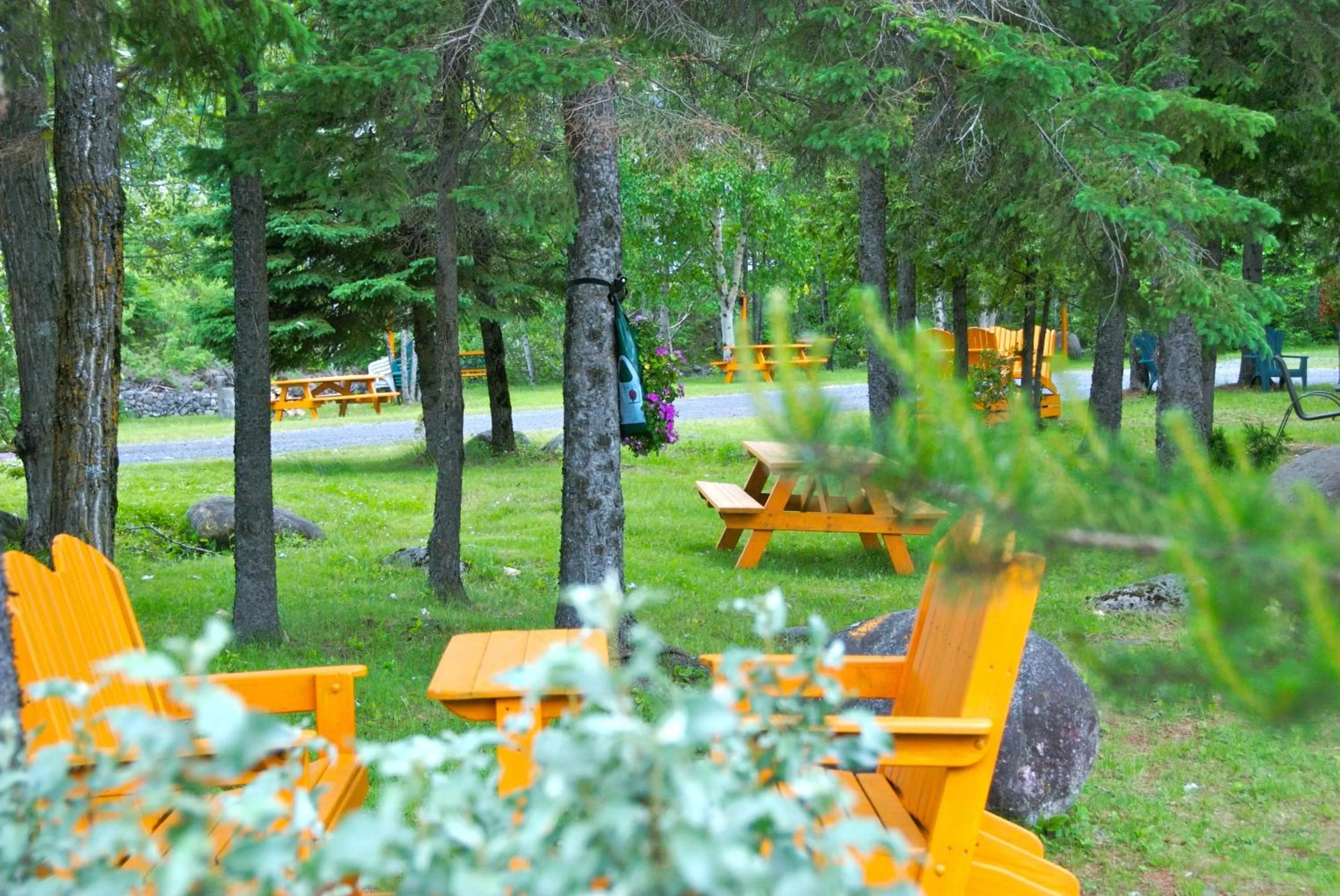 Garden in Motel Des Cascades
