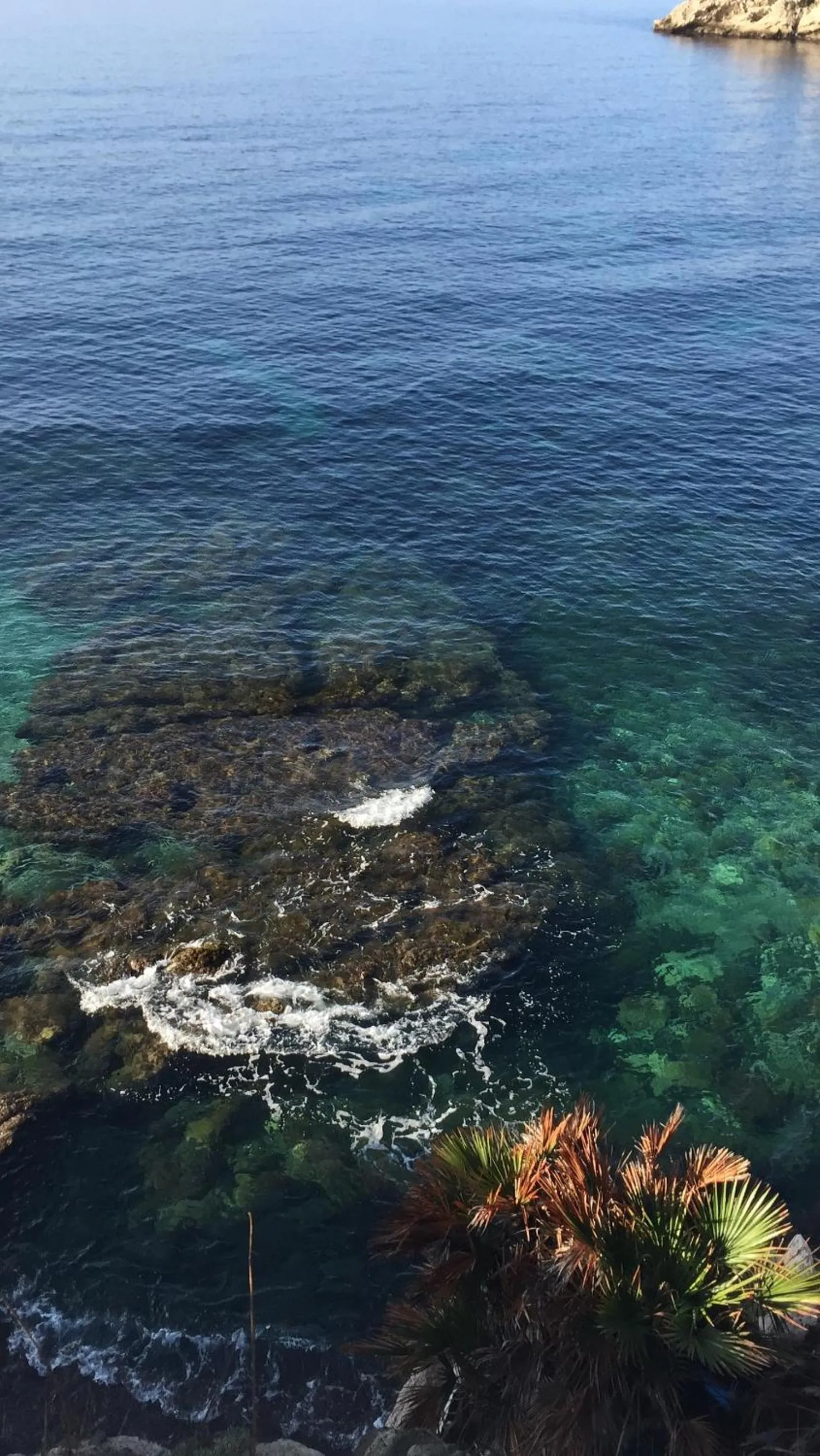 Natural landscape in Hotel Miramar