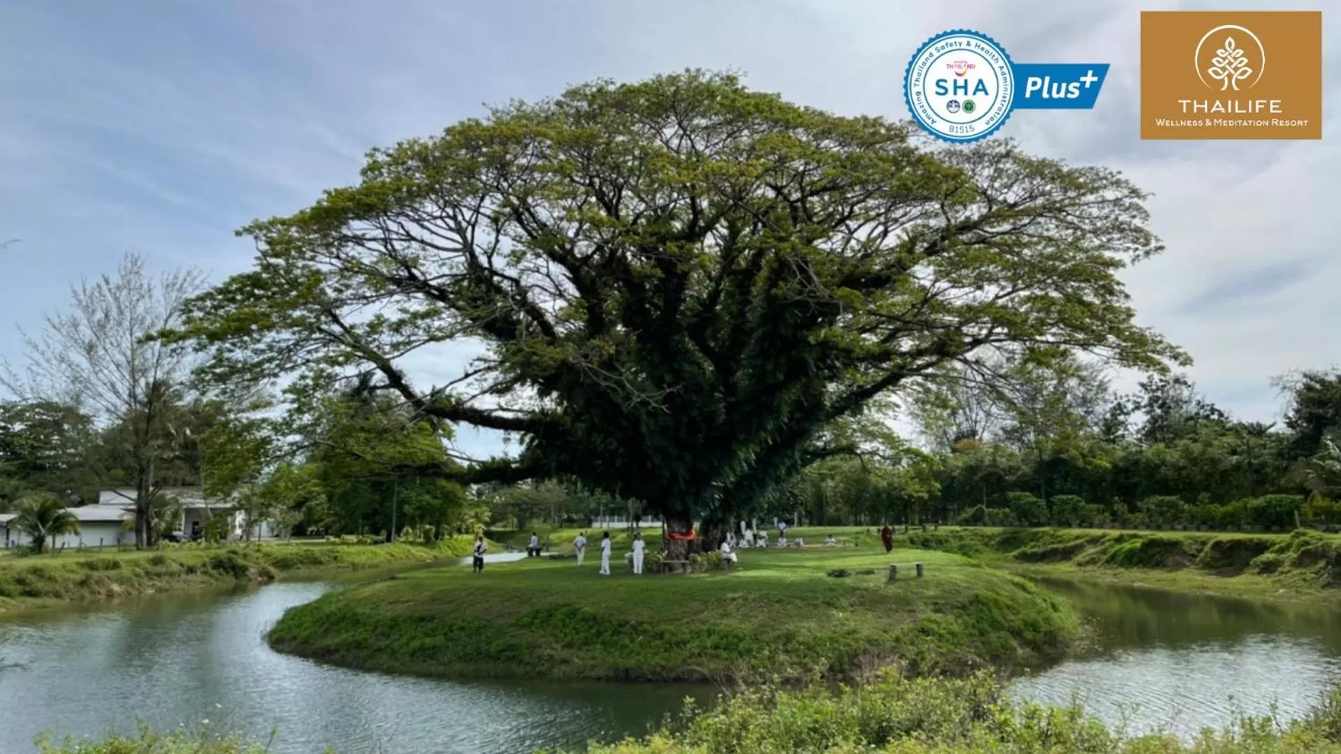 Natural landscape in ThaiLife Wellness & Meditation Resort- SHA Plus