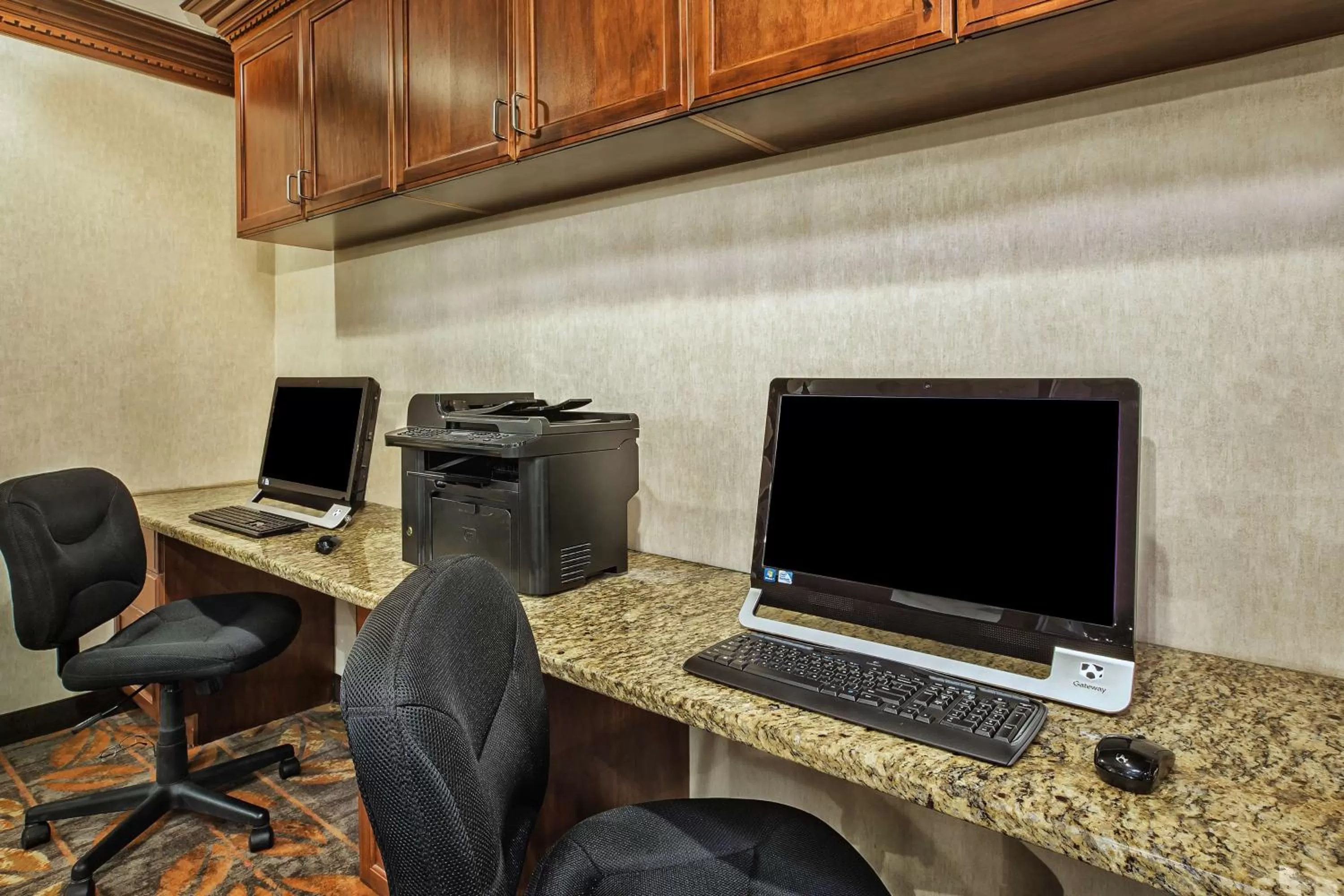 Business facilities in Hampton Inn Detroit/Belleville-Airport Area