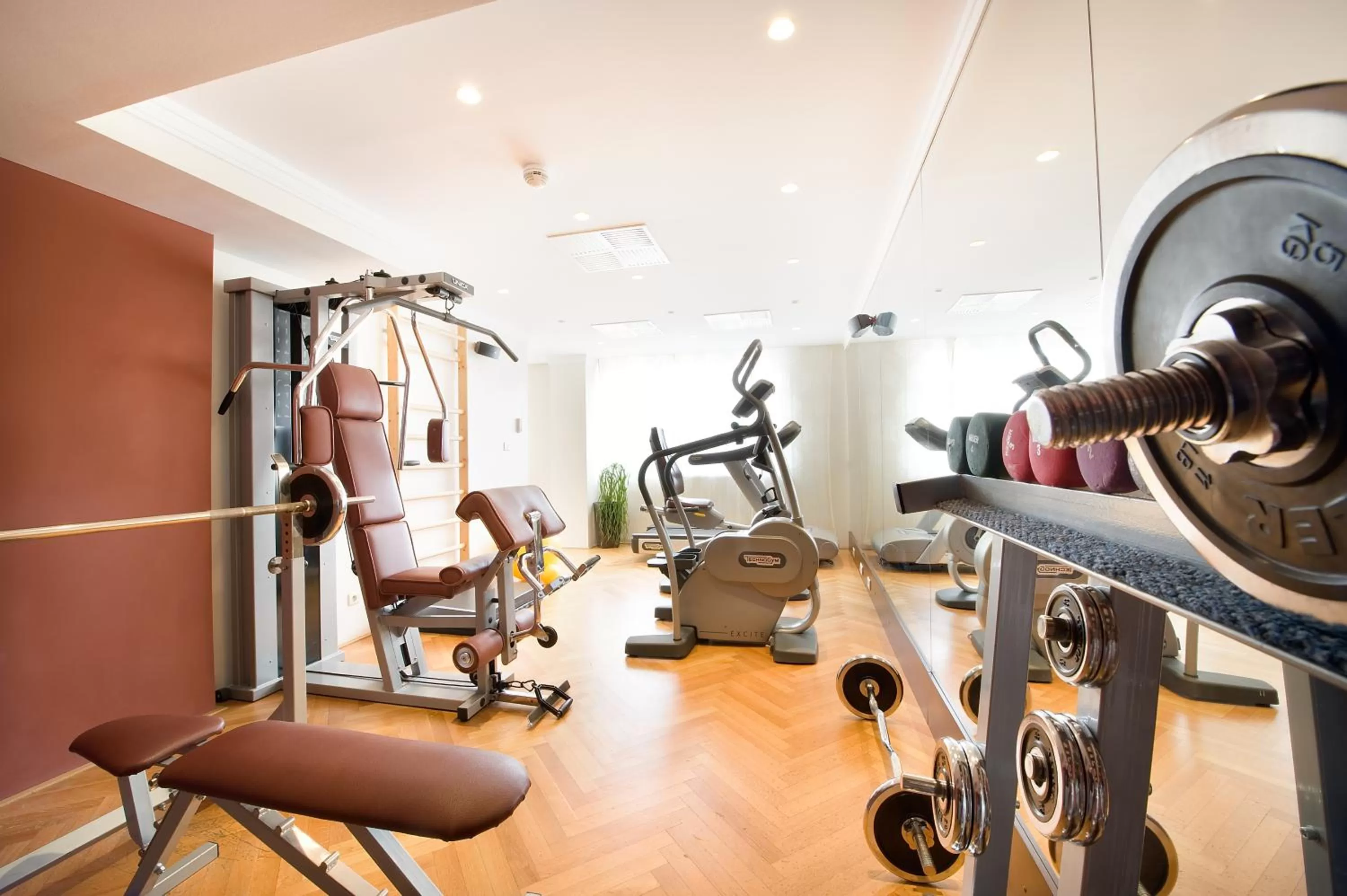 Fitness centre/facilities in Apollo Hotel Bratislava