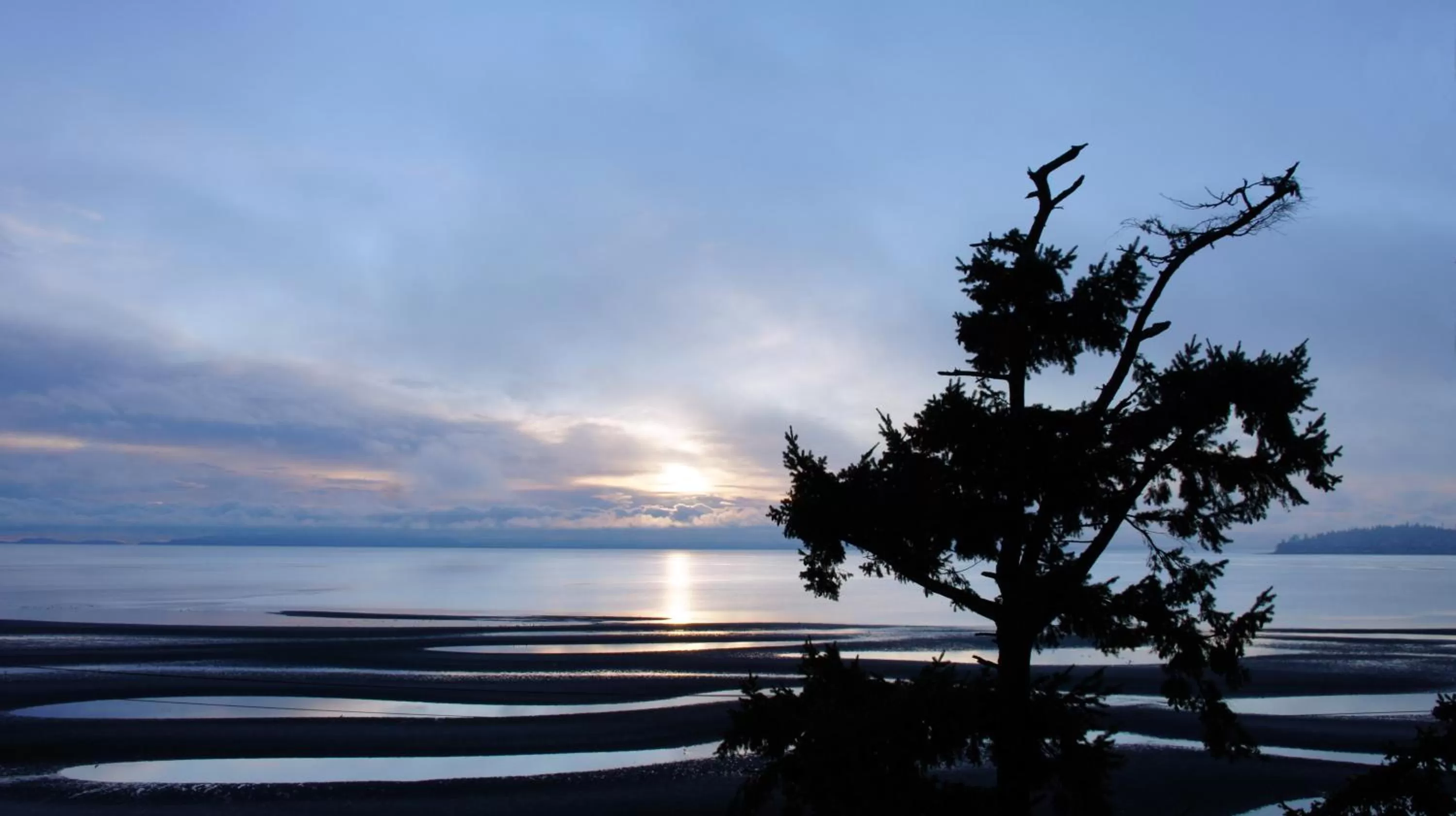 Natural landscape in Raintree's Sandcastle, Birch Bay