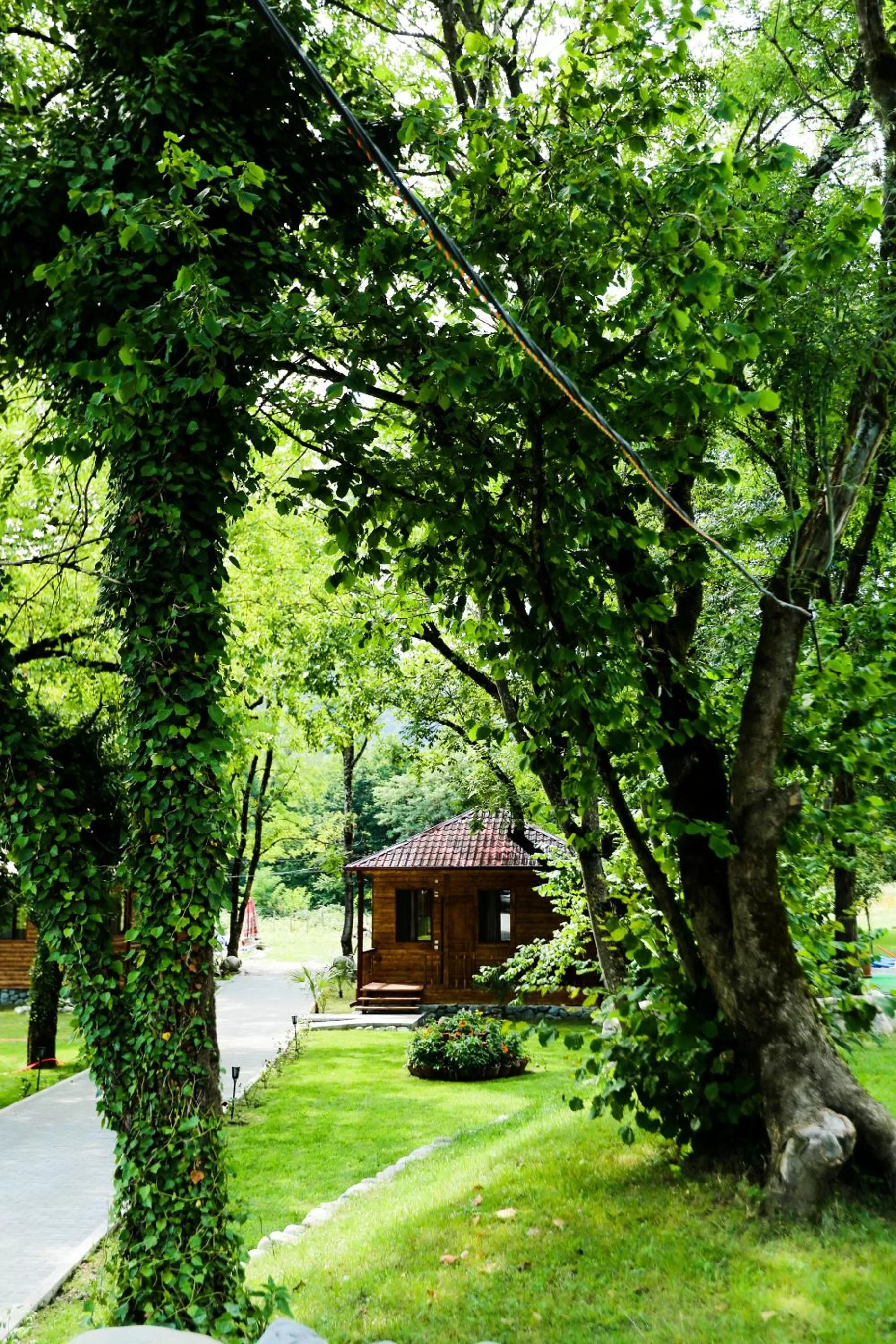 Garden in Royal Palace Hotel, Lagodekhi