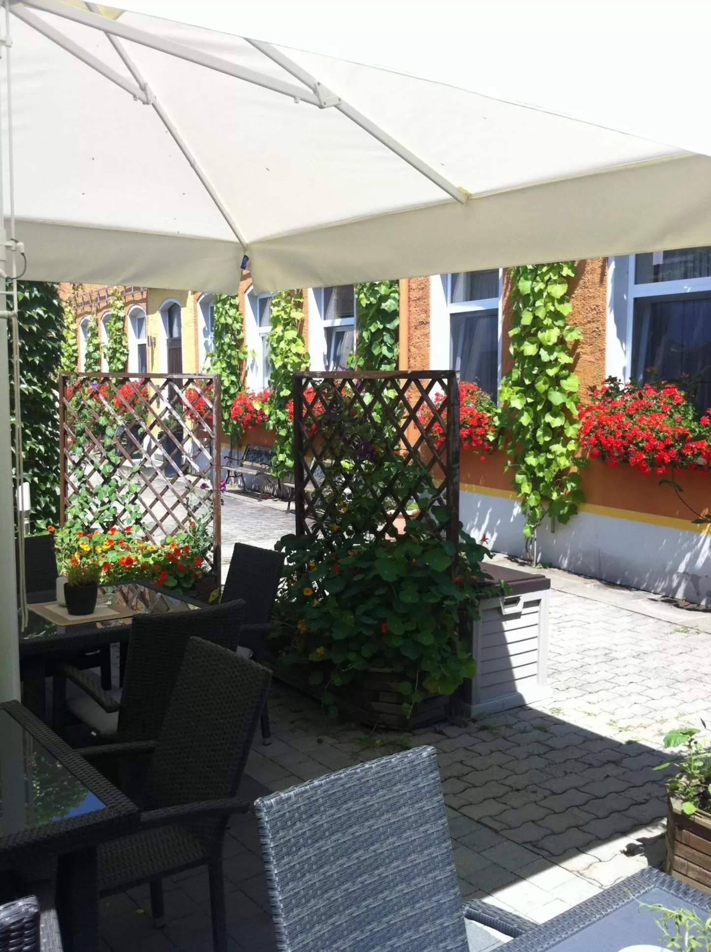 Patio in Pension an der Porzellan-Manufaktur