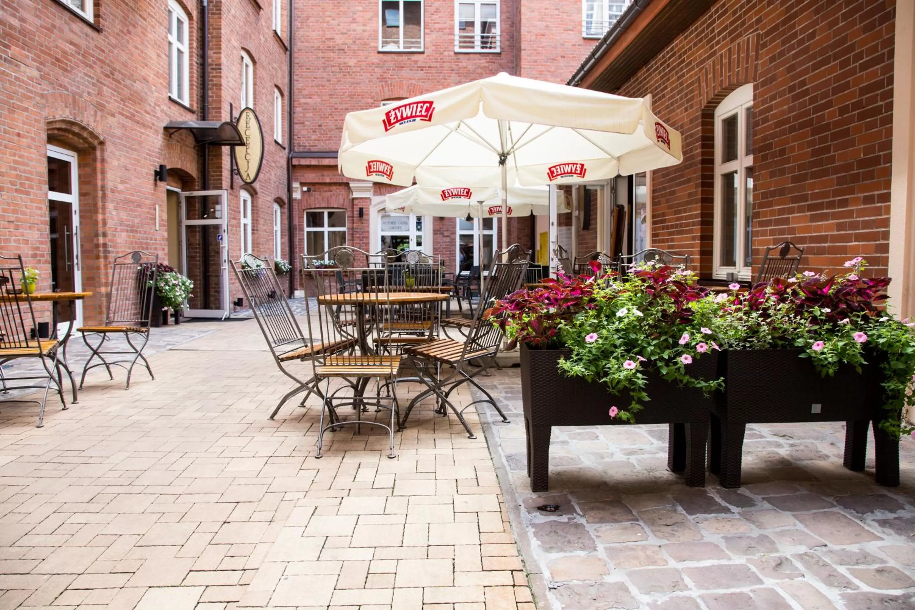 Garden in Hotel Maksymilian