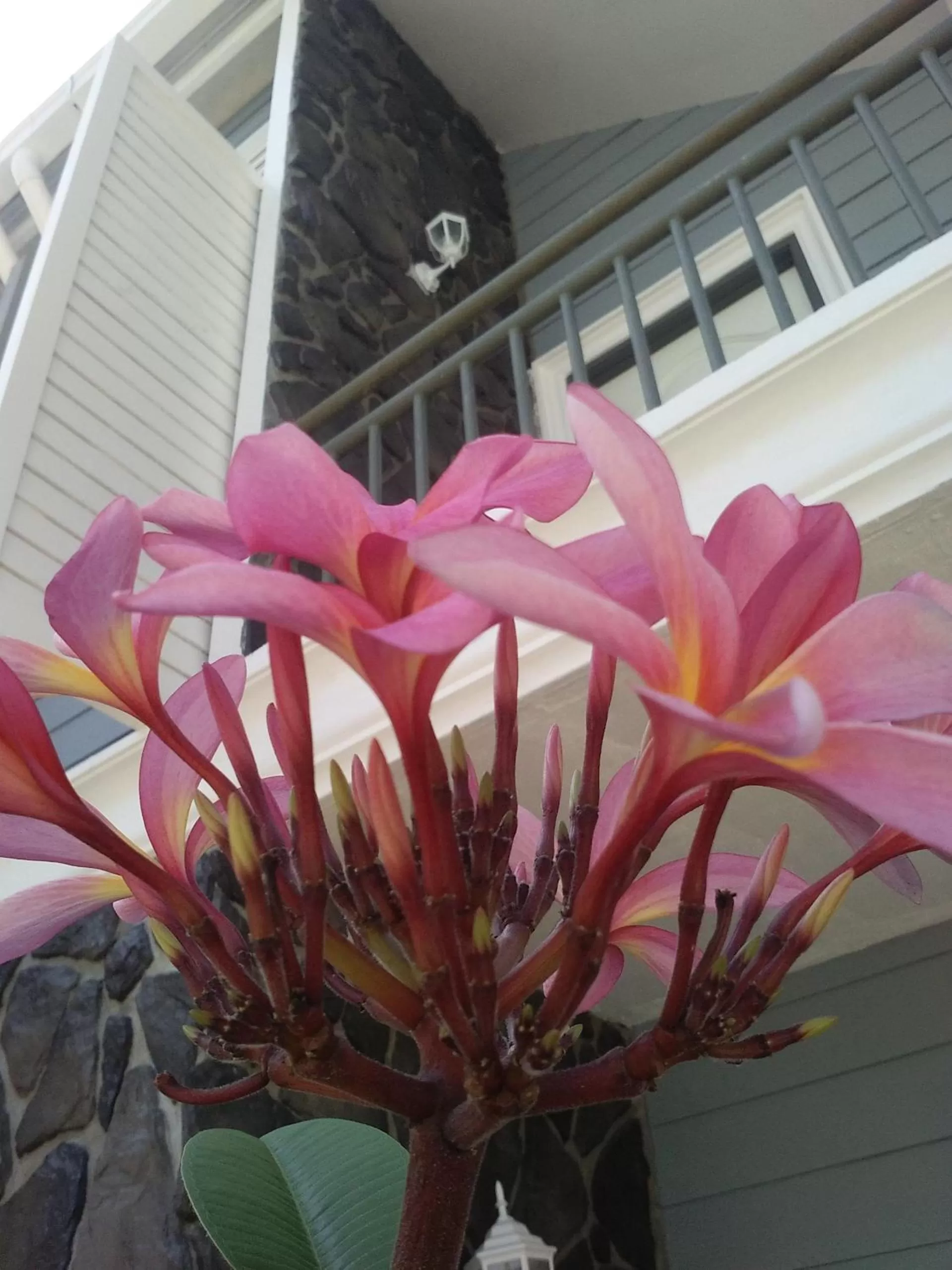 Property building in Royale Chenang Resort