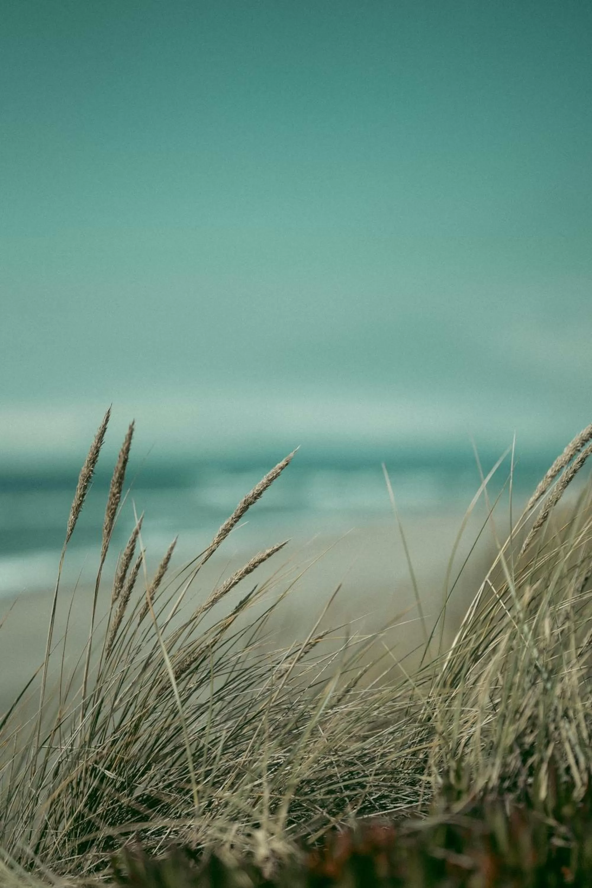 Beach in Riviera Suites